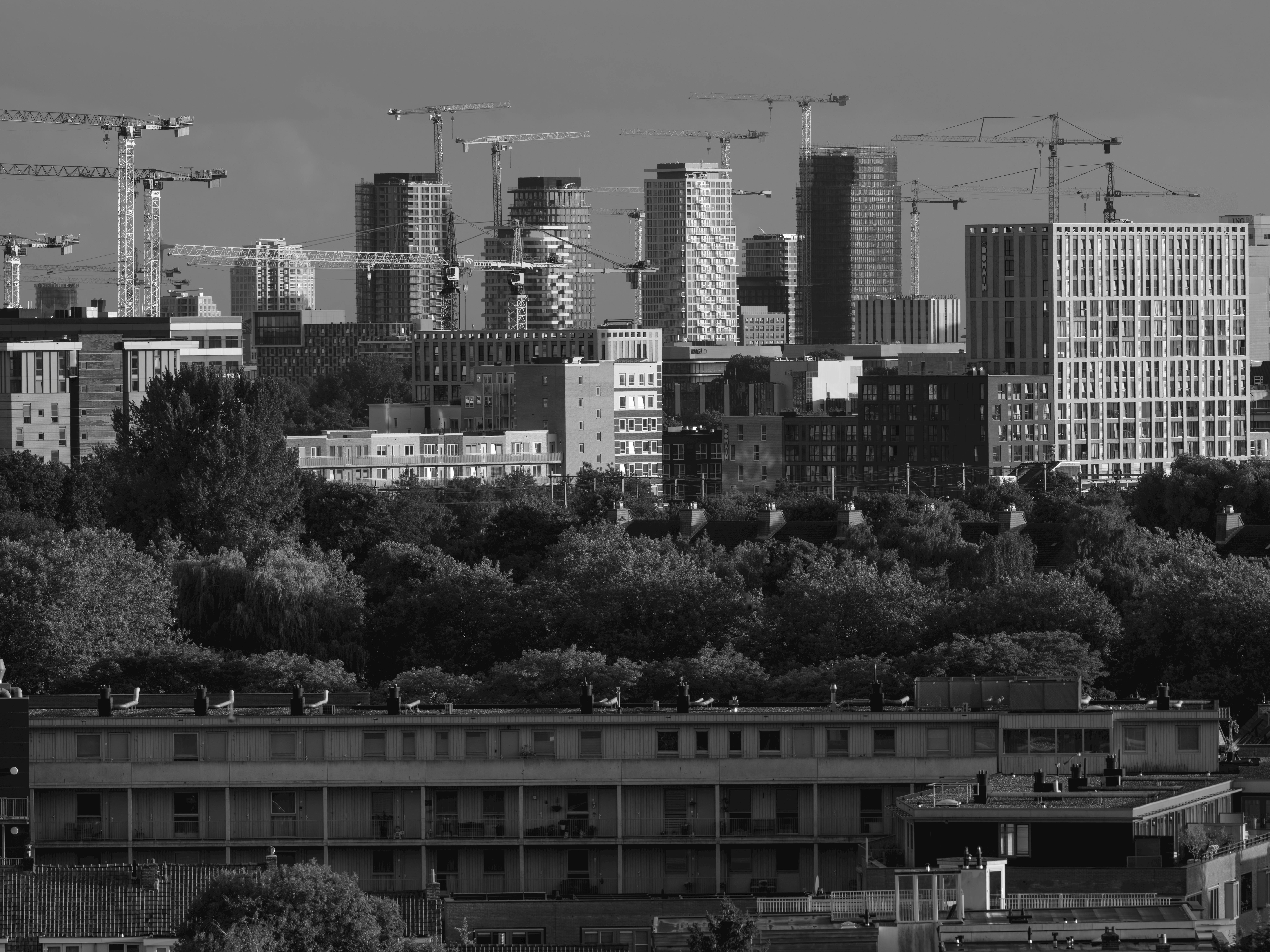 A black-and-white view of Amsterdam's urban skyline featuring construction cranes and modern buildings.