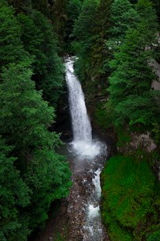 A tranquil waterfall surrounded by lush green forest captured in Rize, Türkiye, presenting nature's pristine beauty.
