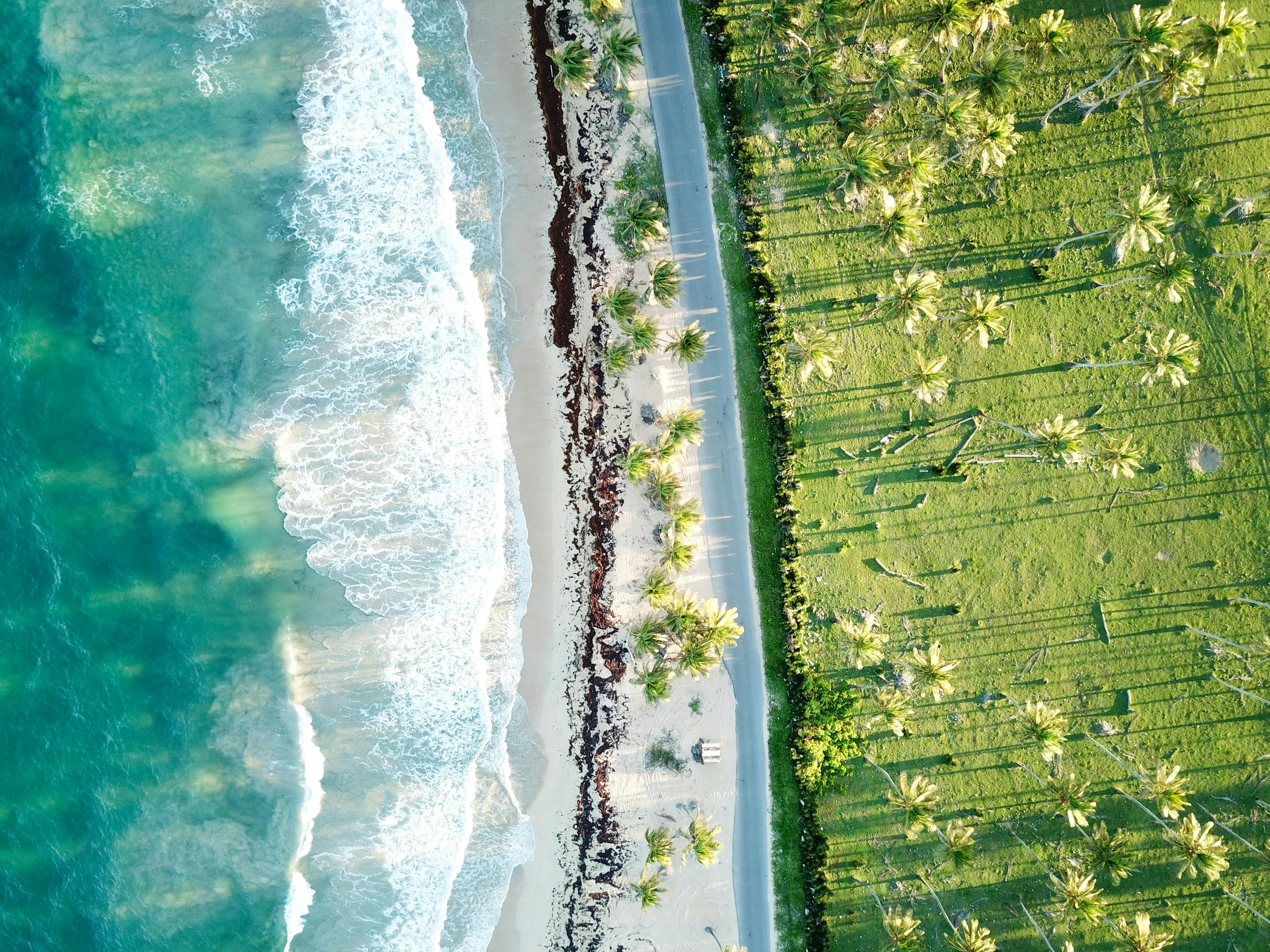 A stunning aerial shot of a pristine beach and lush palm trees in Santo Domingo, Dominican Republic. - Santo Domingo