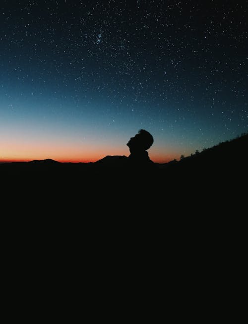 Silhouette Photo of Person Under Starry Sky