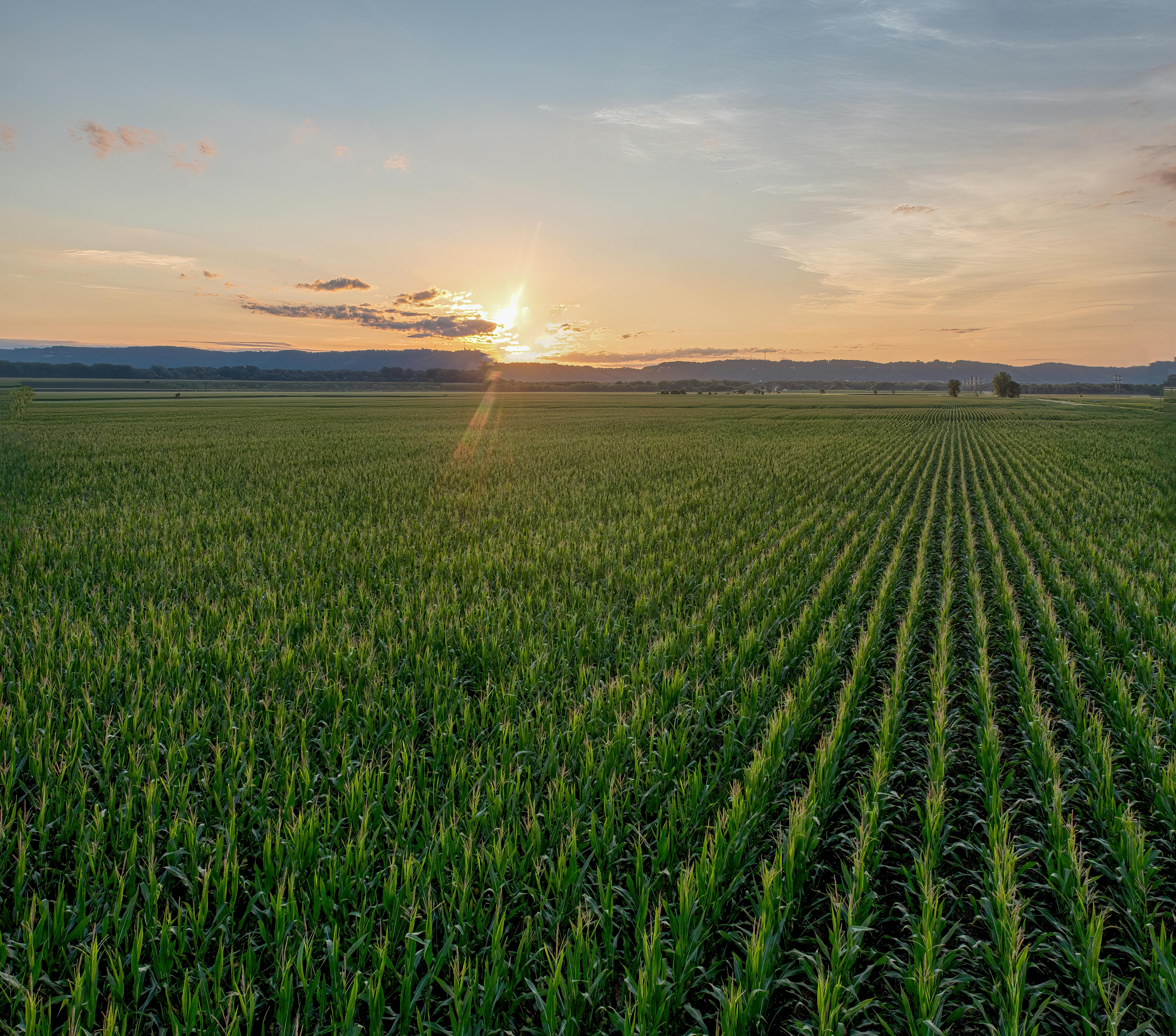 Photo of Green Field Near Mountains · Free Stock Photo
