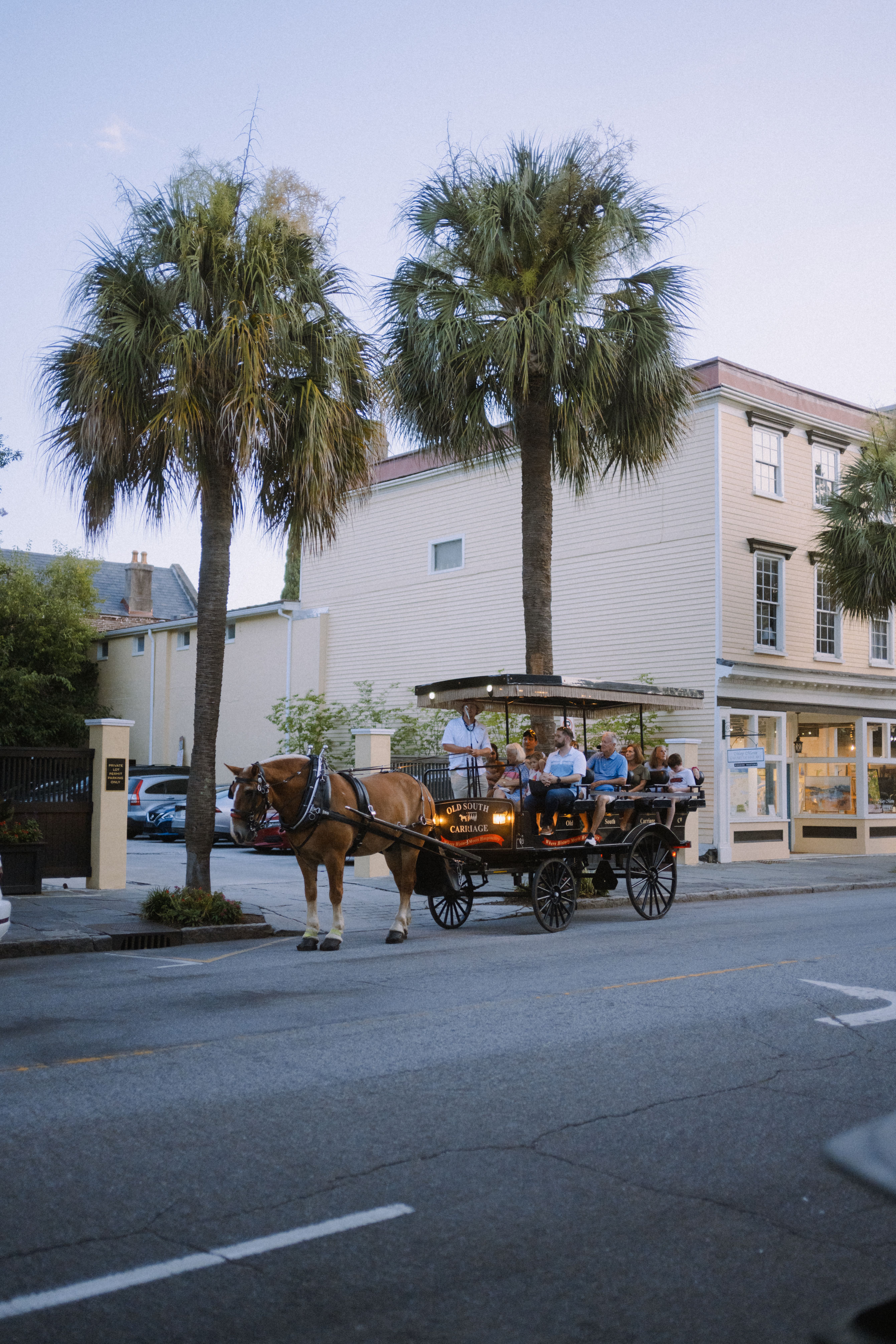 Charming Horse Carriage Ride in Charleston, SC · Free Stock Photo