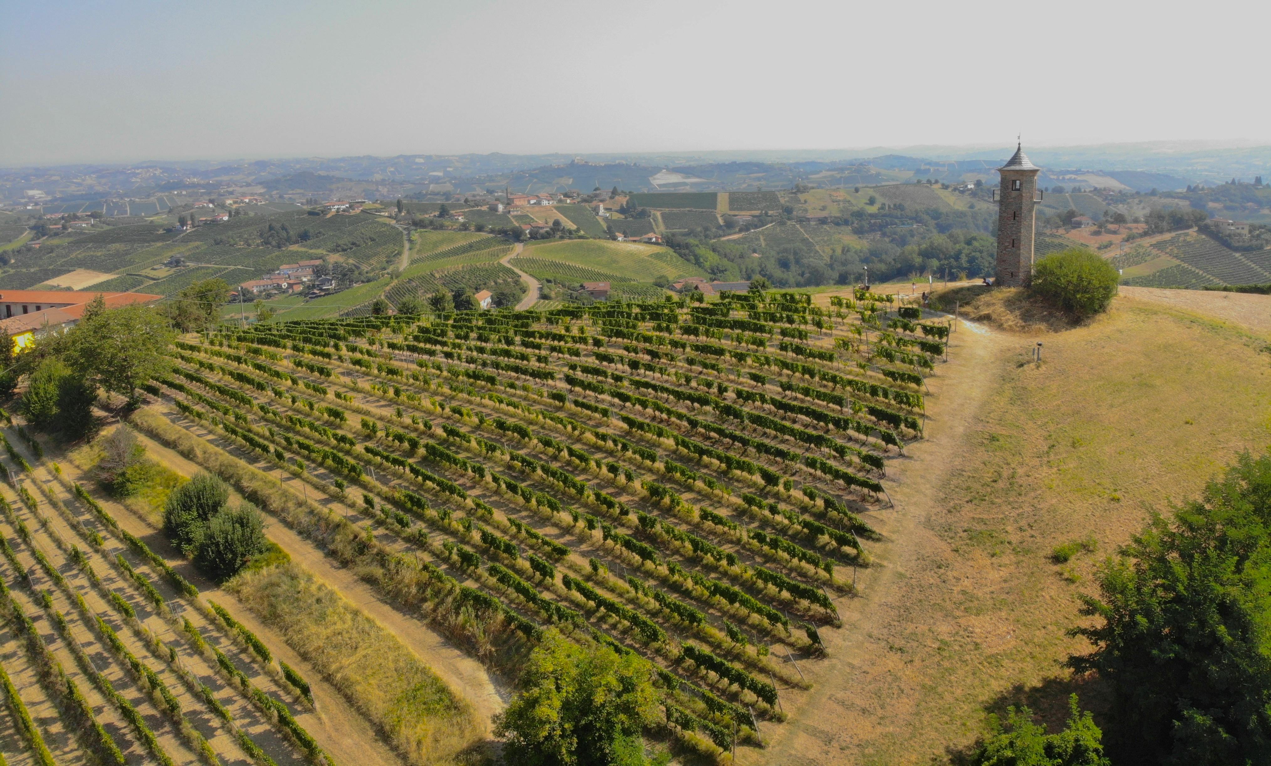 Aerial shot of a vineyard and historical tower in Canelli, Italy, with scenic landscape.