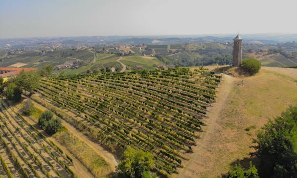 Aerial shot of a vineyard and historical tower in Canelli, Italy, with scenic landscape.
