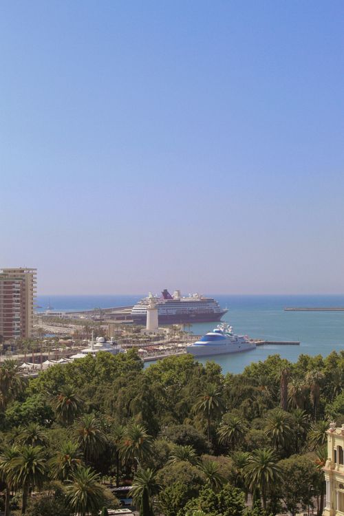 Free Beautiful view of Málaga port with cruise ships docked, palm trees and clear blue sky. Stock Photo