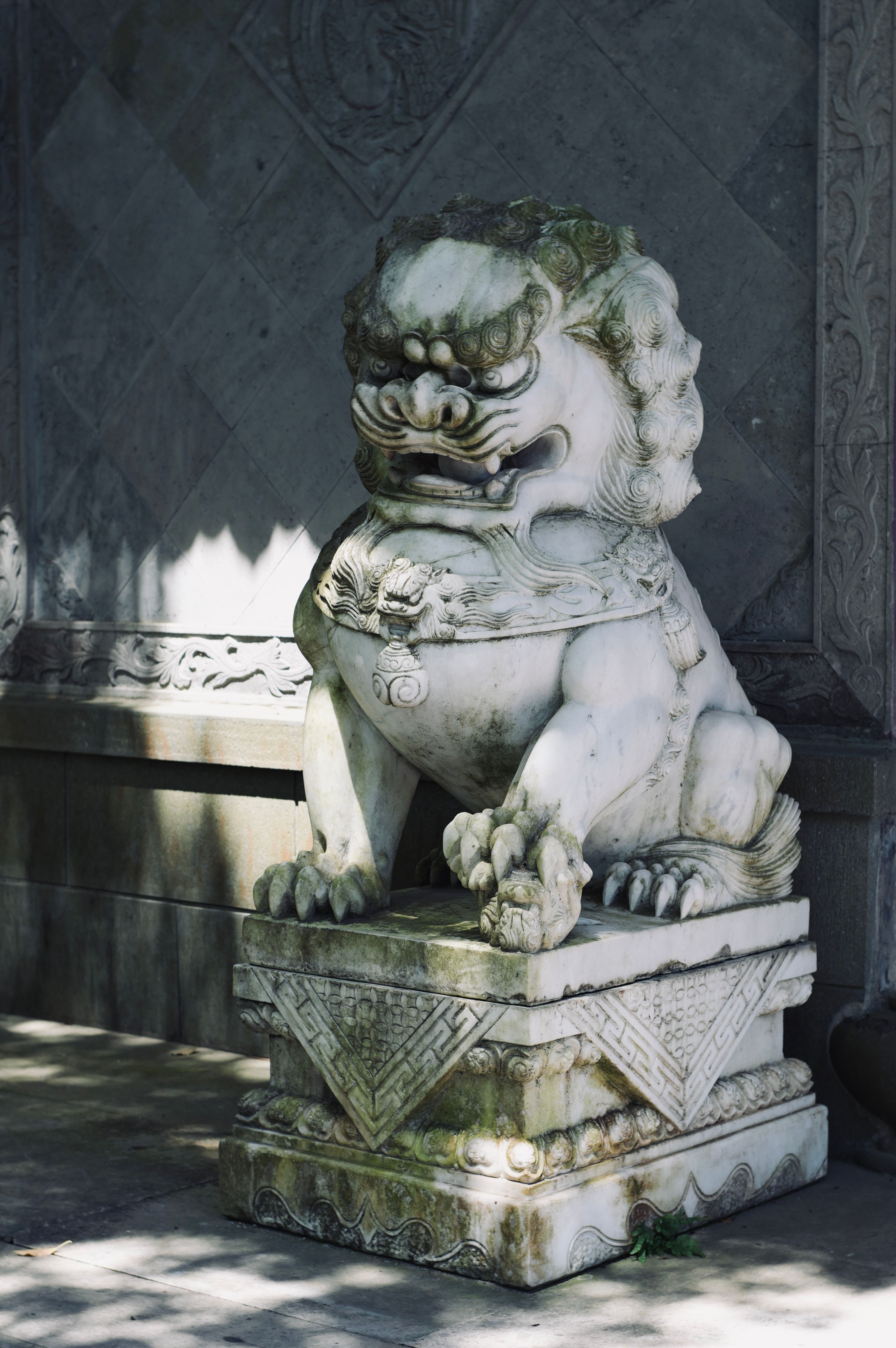 Gratuit Élégante statue de chien Foo en pierre sous la lumière du soleil tachetée, symbolise la protection et la force. Photos