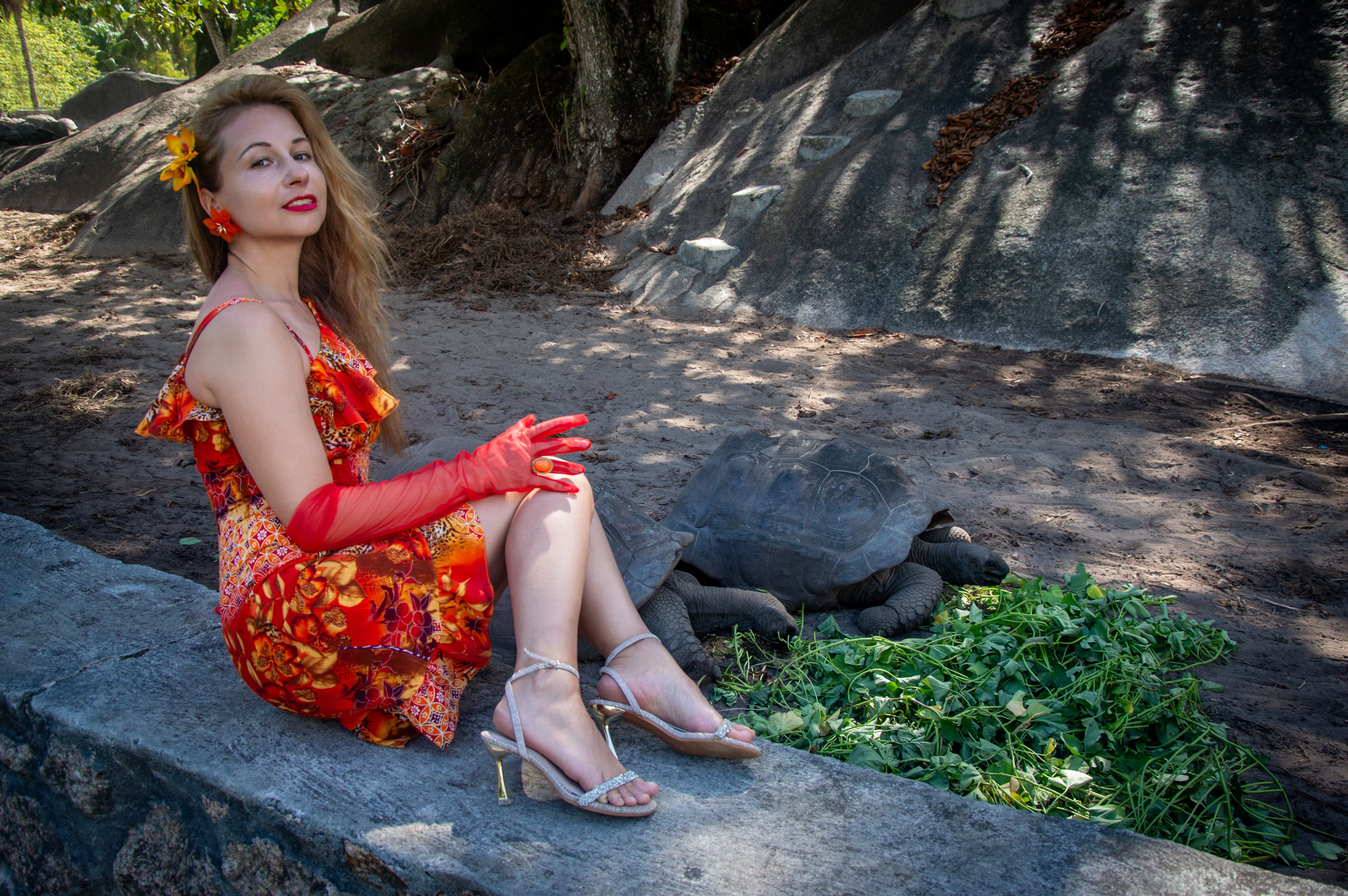 Golden Slipper Hires Lori Rubin as Executive Director — Photo by Vika Glitter on Pexels