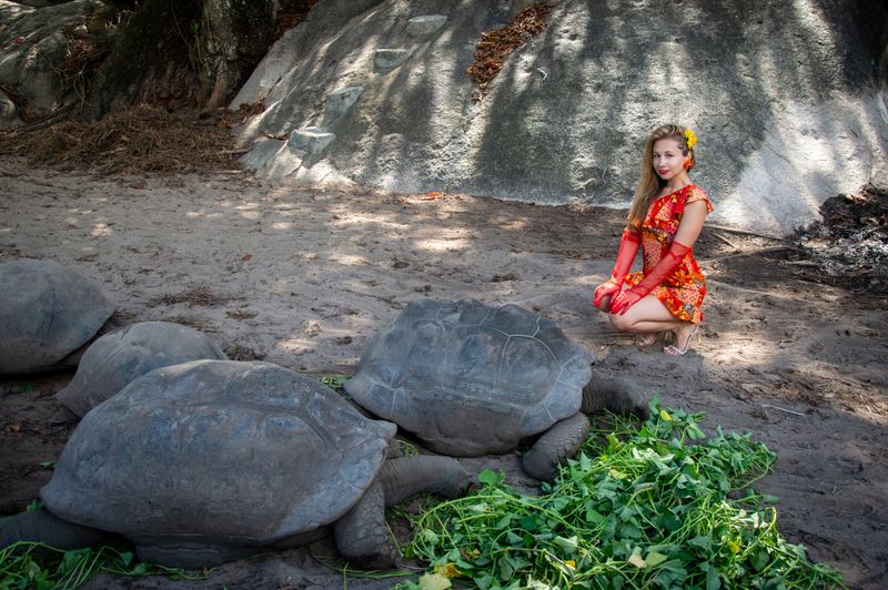 Botanical Gardens & Temples
