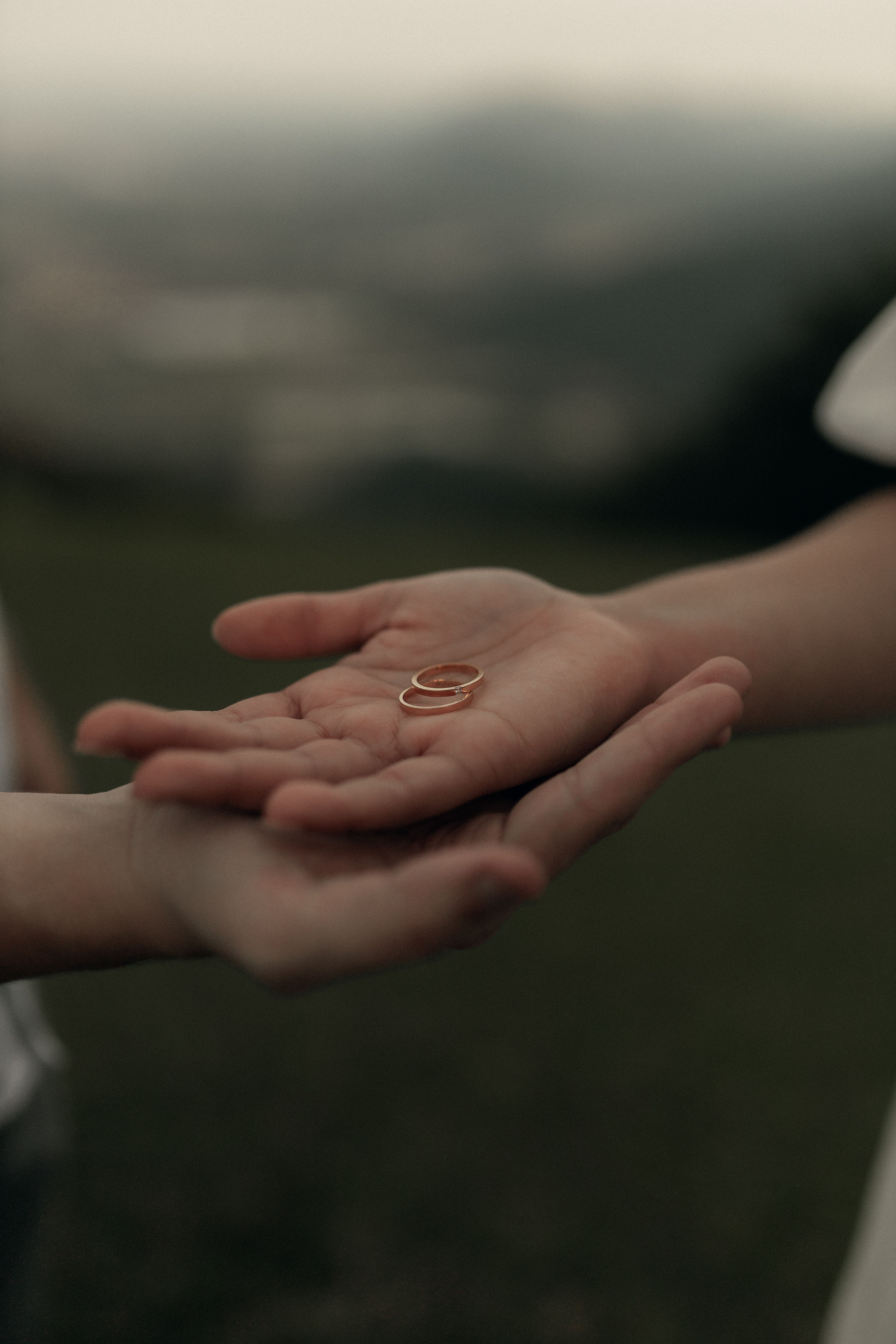 Sharing Wedding Rings in a Tender Moment · Free Stock Photo