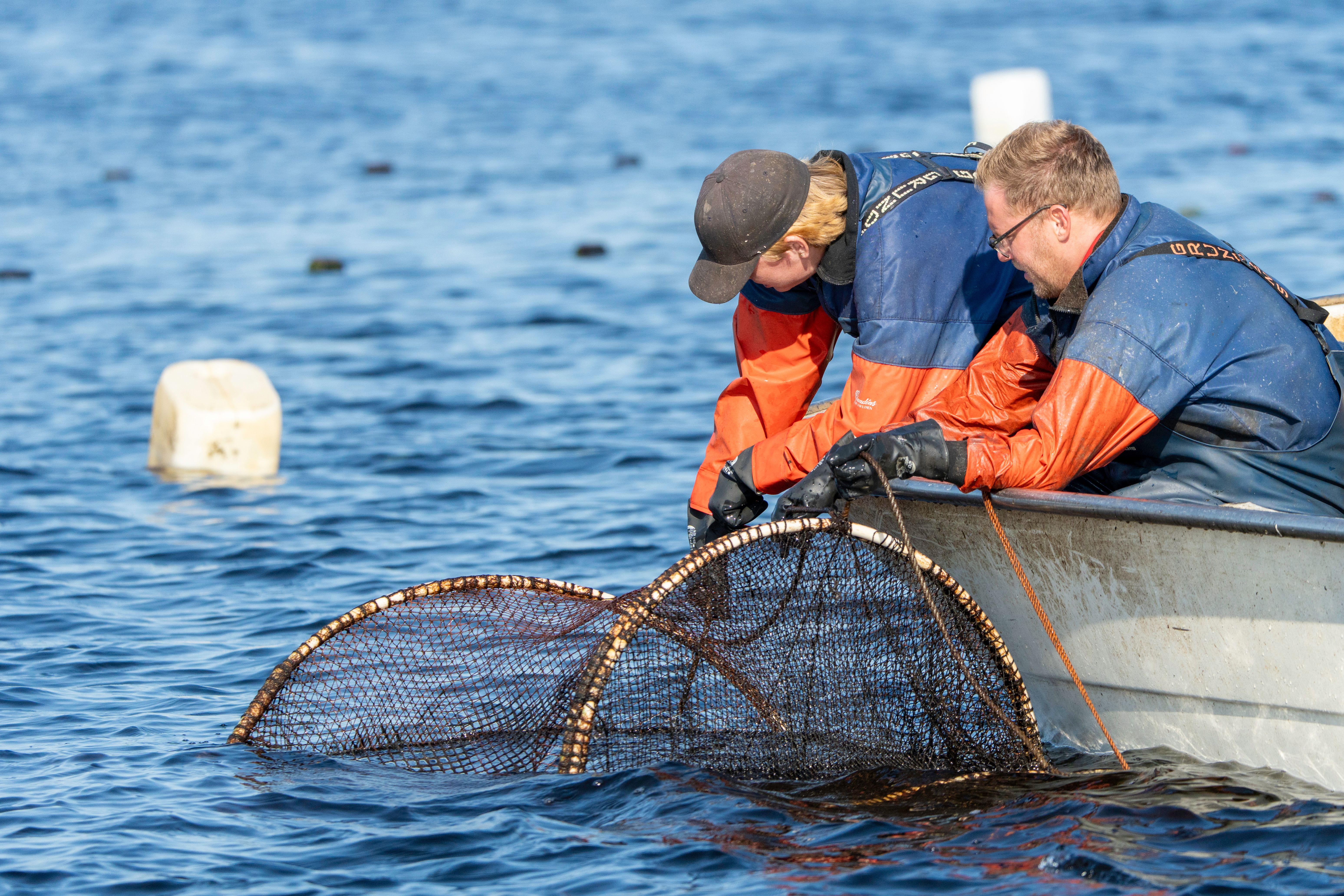 Fishermen Collecting Catch in Calm Waters · Free Stock Photo