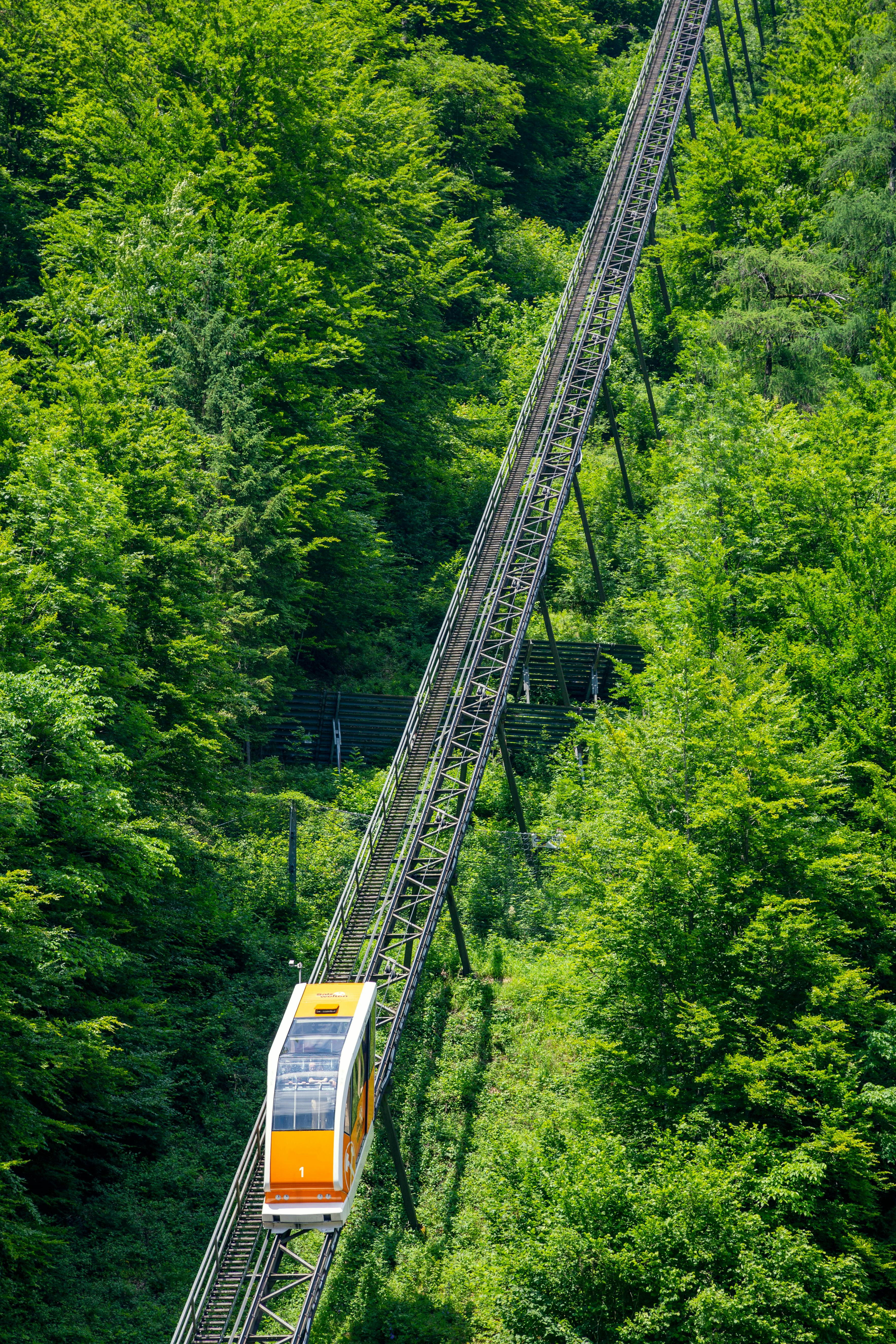 A vibrant orange funicular train ascends through dense green forest on a steep track.