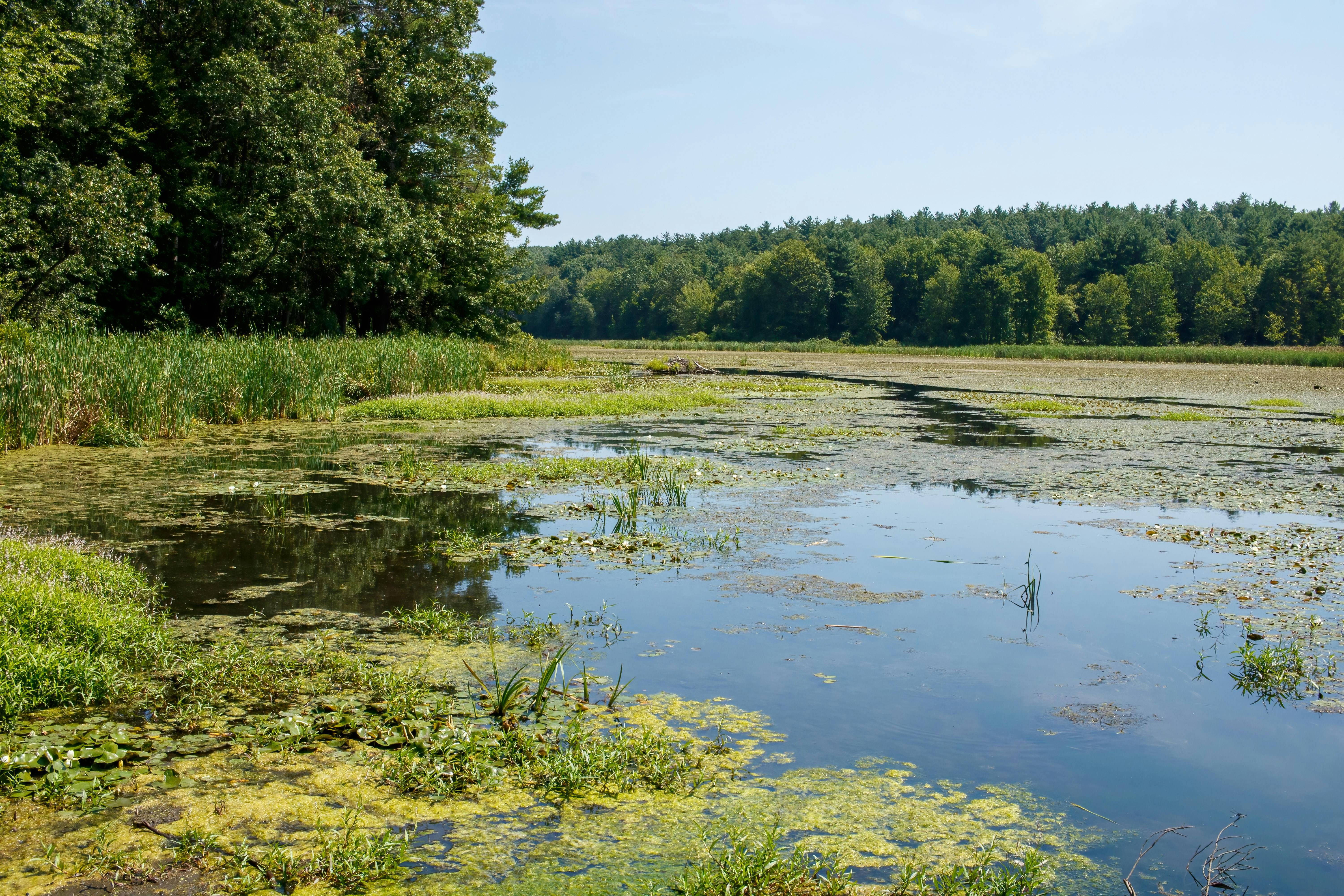 Federal reclassification benefits Vermont medical cannabis program — Photo by Tim Dusenberry on Pexels