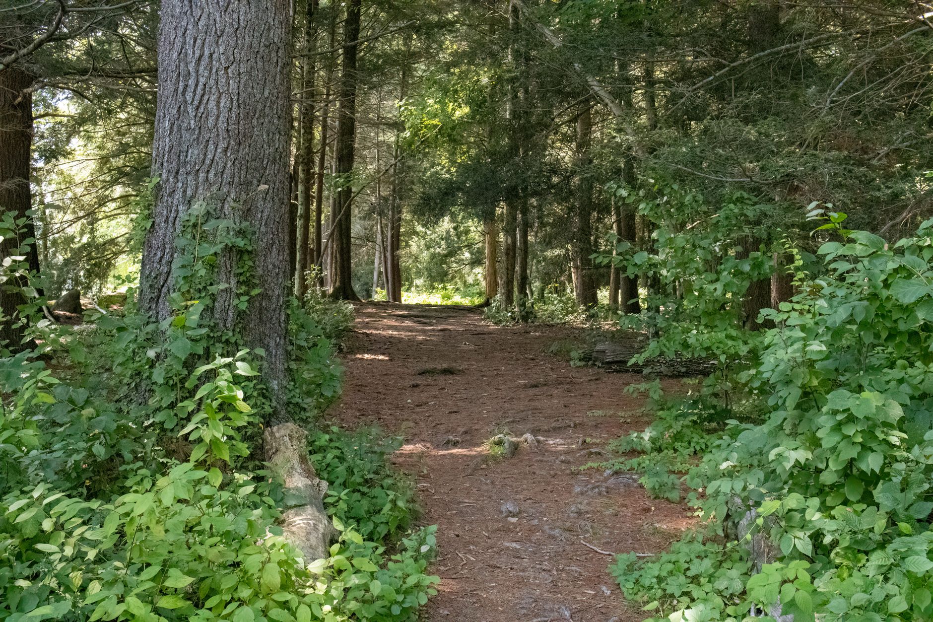 La route bleue - Rivière Richelieu - Centre de Plein Air l'Estacade - Henryville