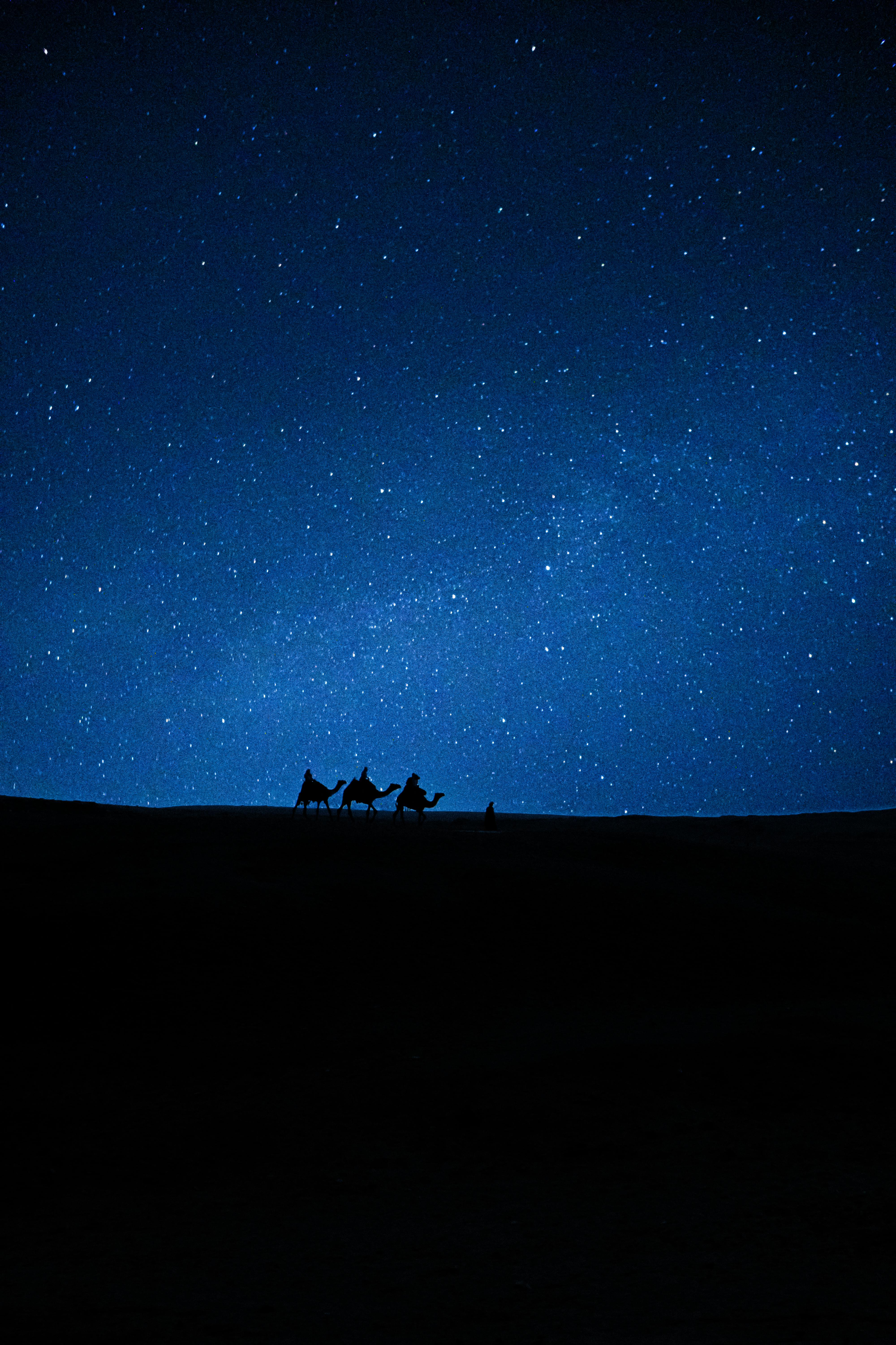 Silhouette of camel caravan under a starry sky in Giza, Egypt. Perfect for travel and adventure themes.