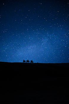 Silhouette of camel caravan under a starry sky in Giza, Egypt. Perfect for travel and adventure themes.