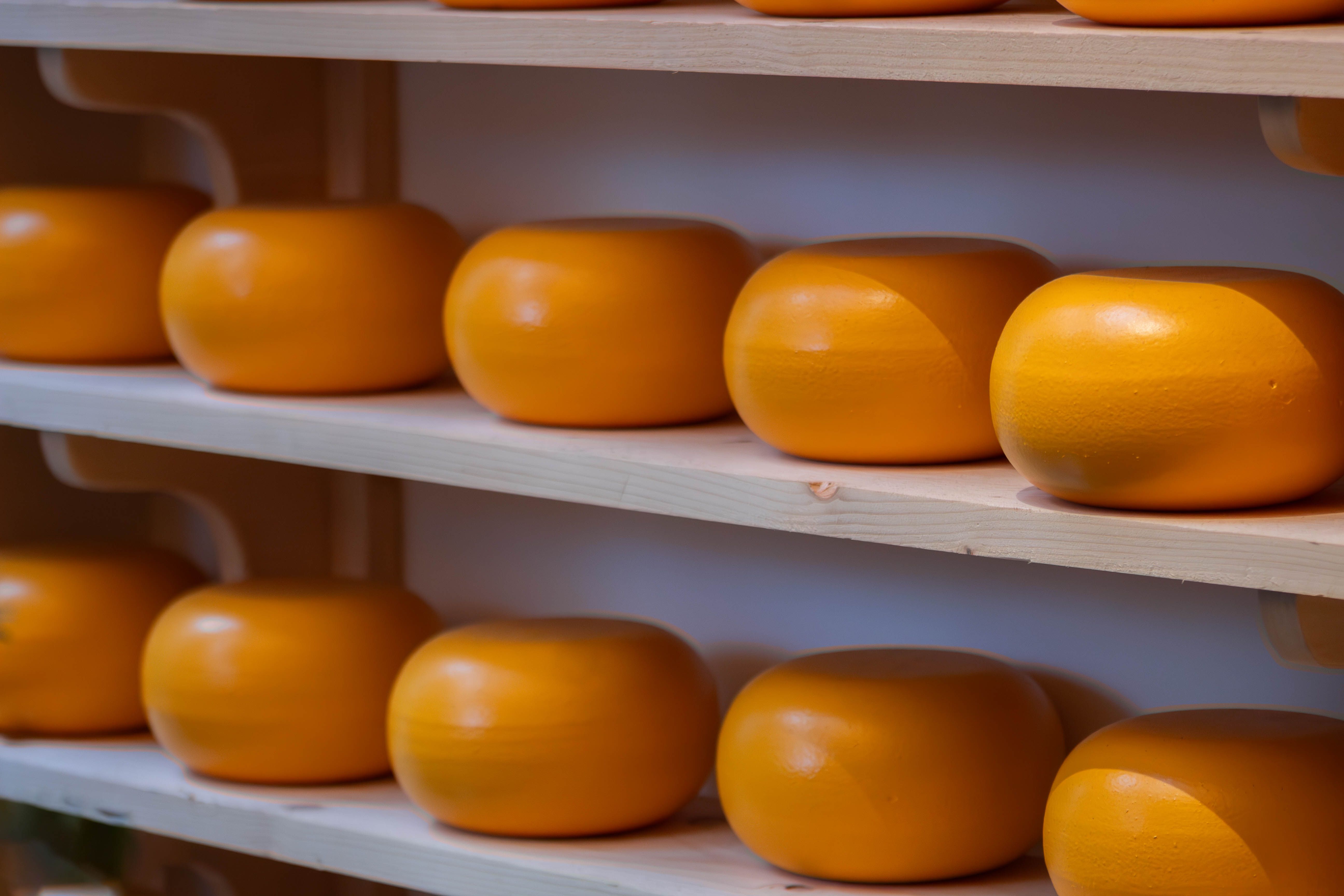 Rows of Gouda Cheese on Wooden Shelves
