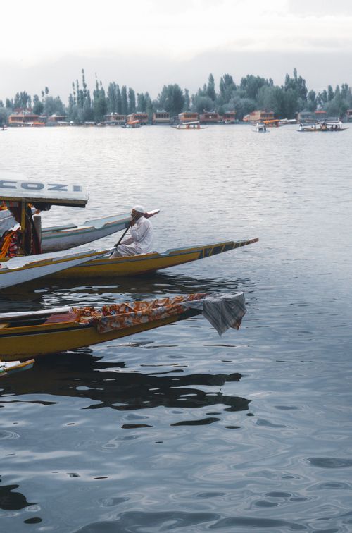 Free Peaceful view of Dal Lake with colorful traditional boats and distant houses. Stock Photo