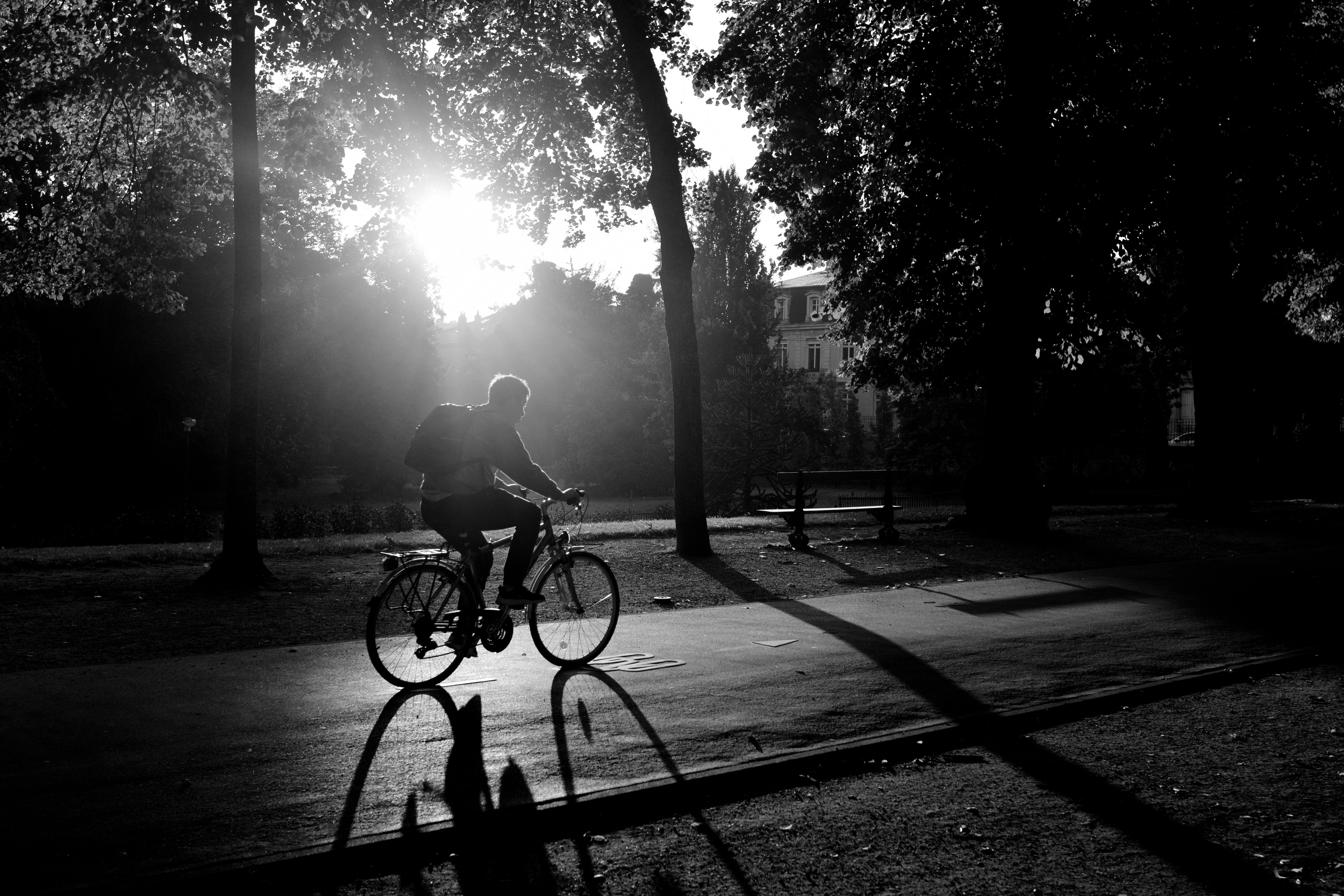 Tipos de Agentes IA disponibles con LangChain