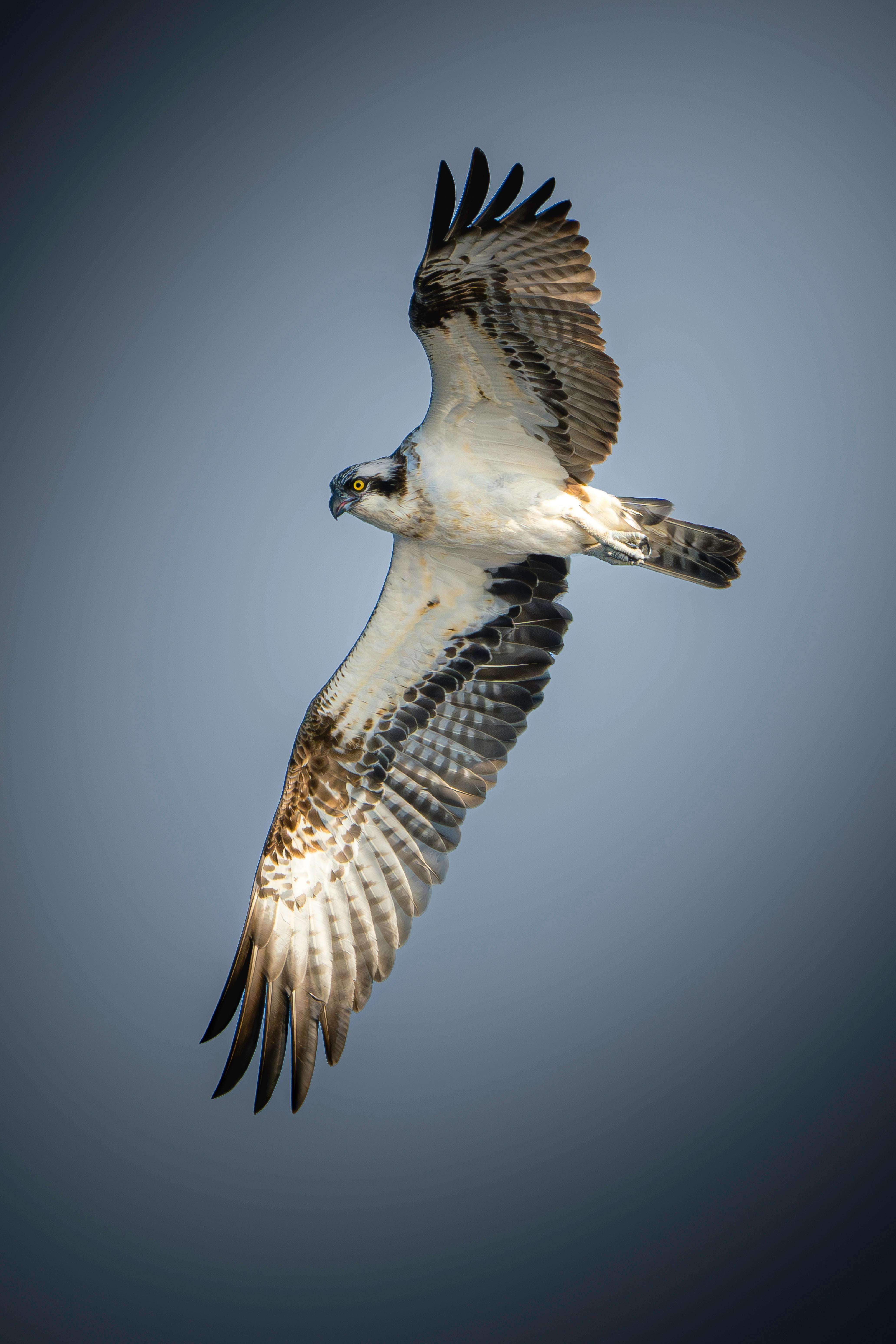 무료 반품 조건 및 절차 설명