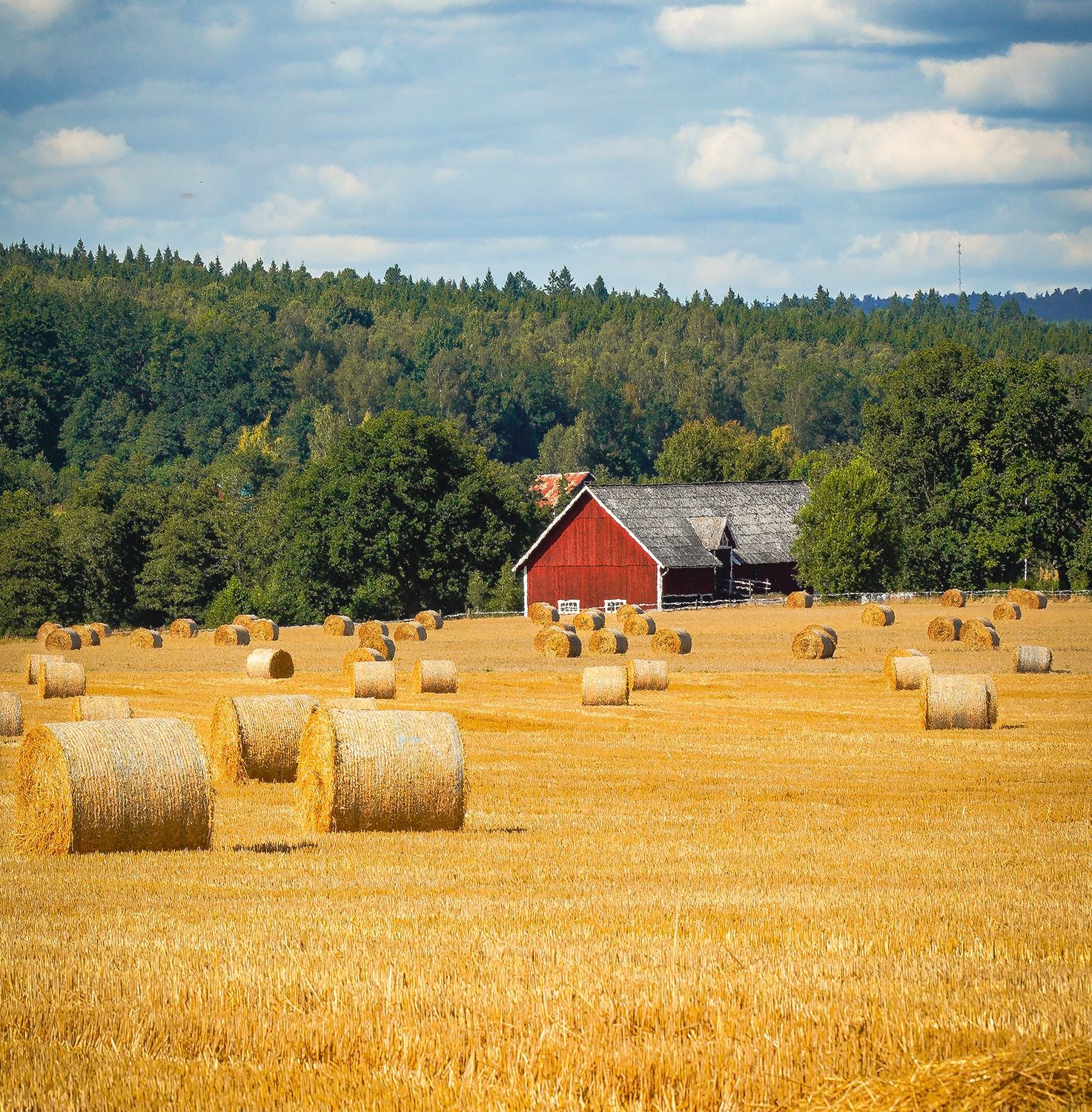 Scenic Rural Landscape with Hay Bales · Free Stock Photo