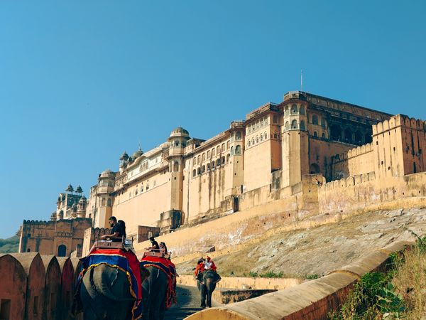 Amber Fort & Hawa Mahal Tour
