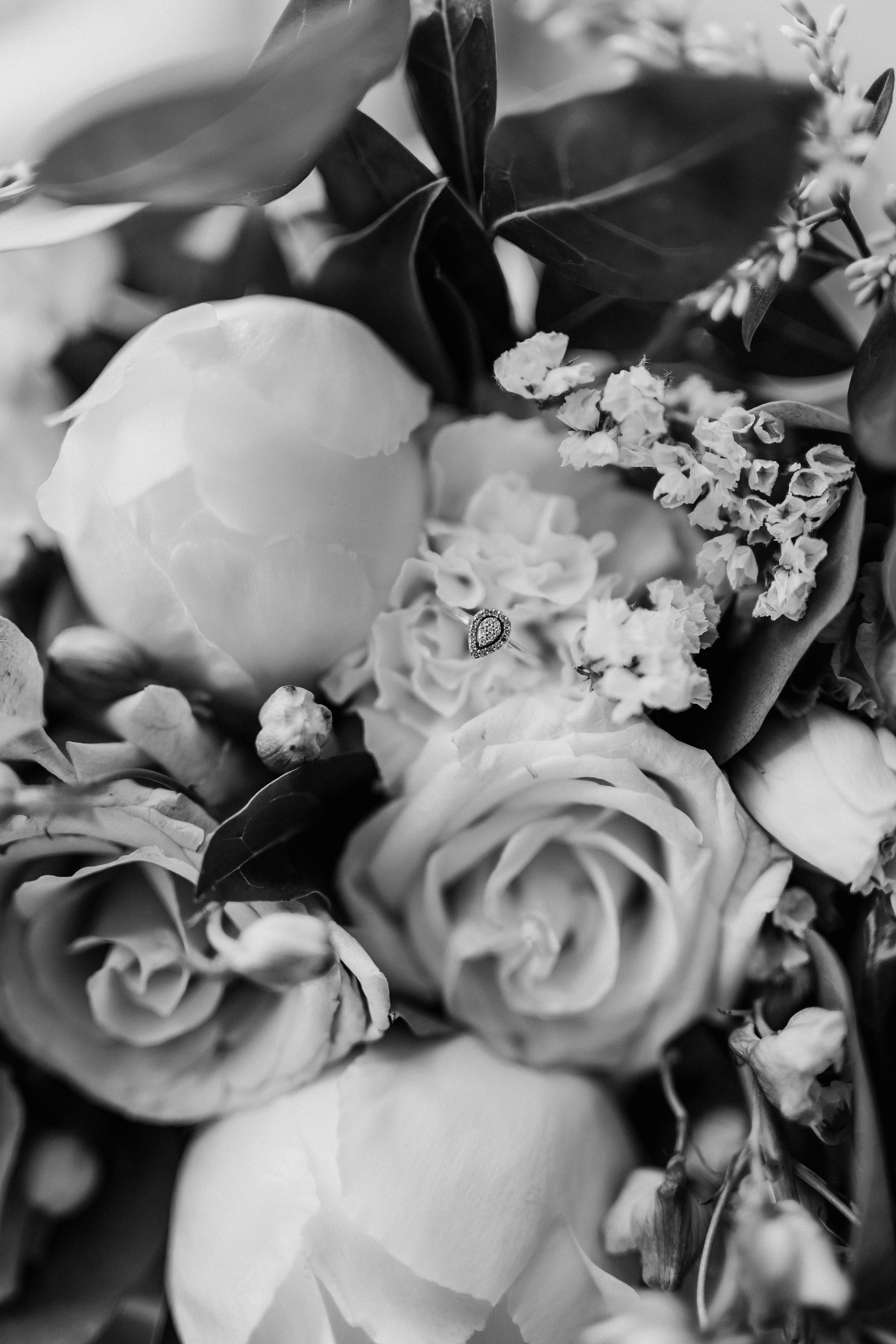Black and White Close-Up of Floral Bouquet · Free Stock Photo, image size:4000x6000