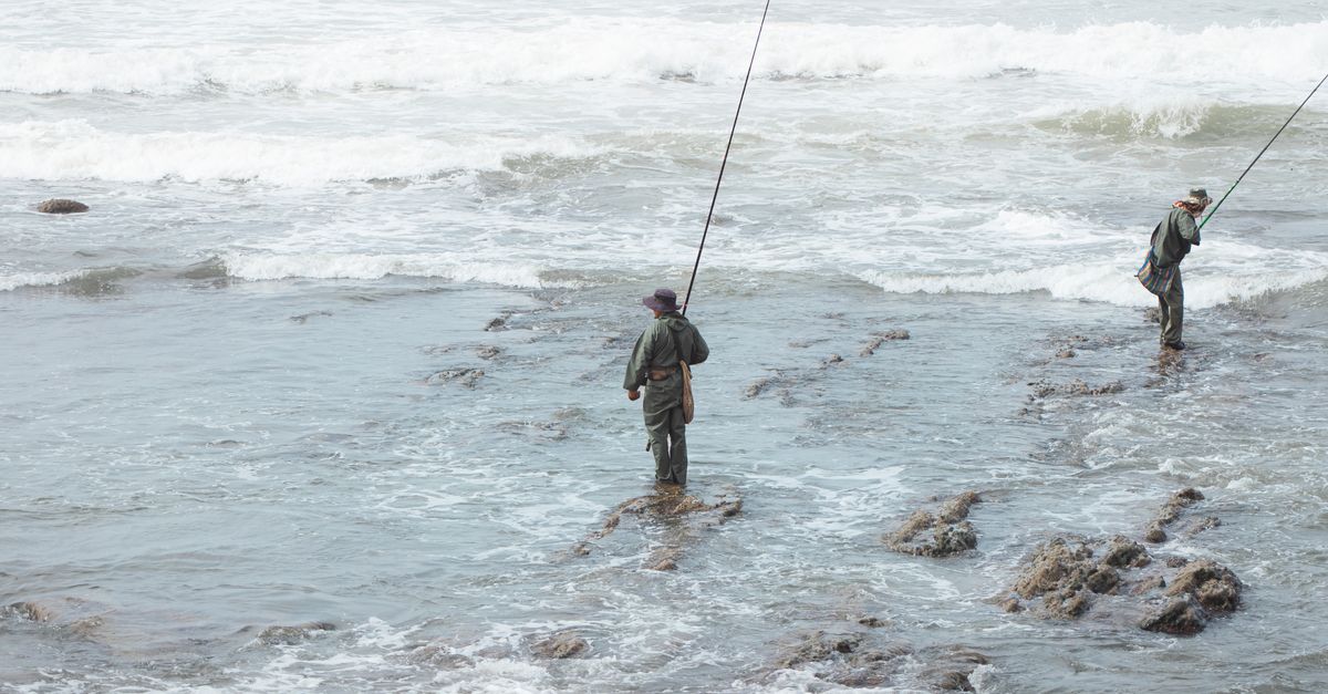 Mauritania: RSE que promueve pesca responsable y desarrollo de comunidades costeras Mauritania: RSE que promueve pesca responsable y desarrollo de comunidades costeras