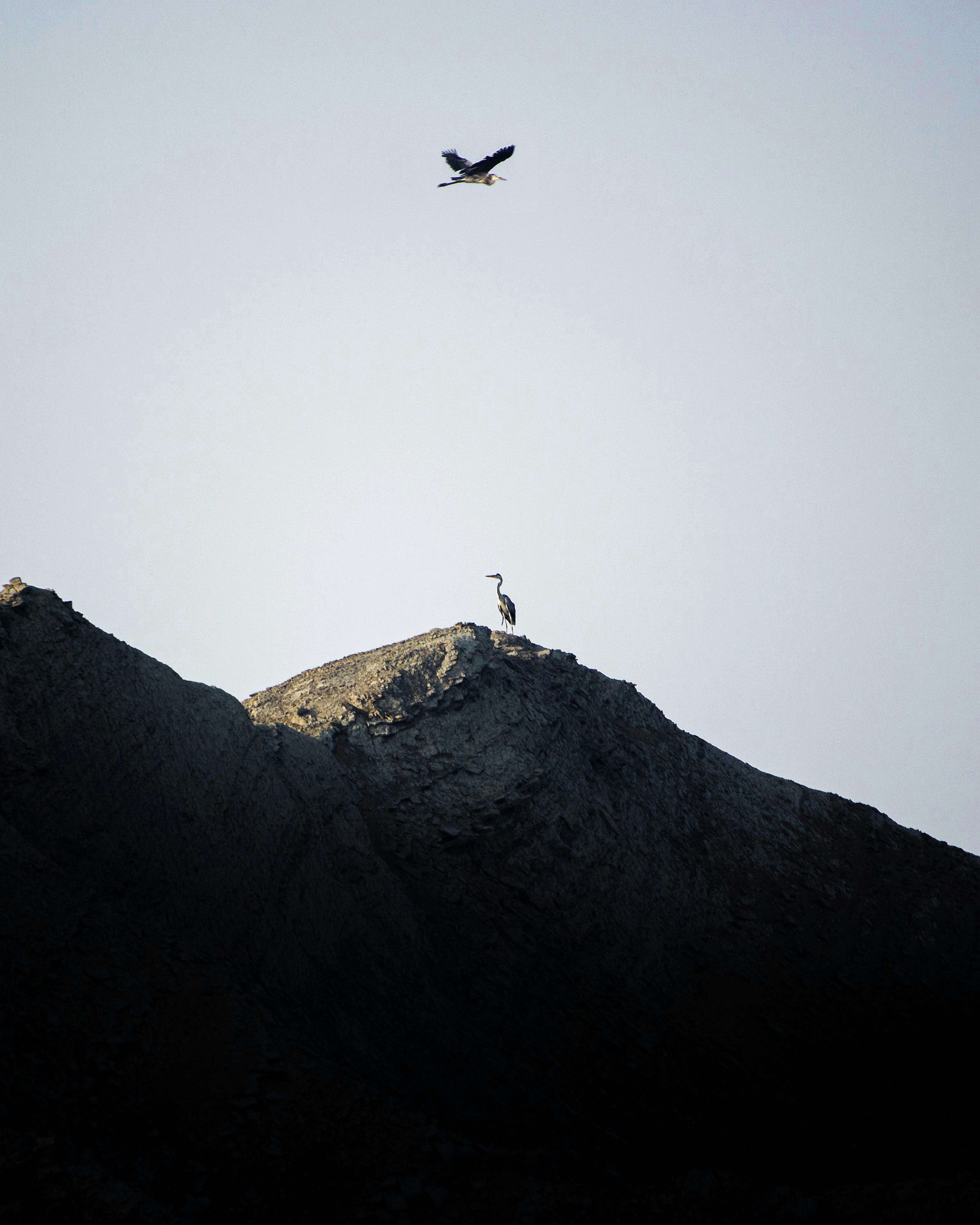 니스 공항 이미지