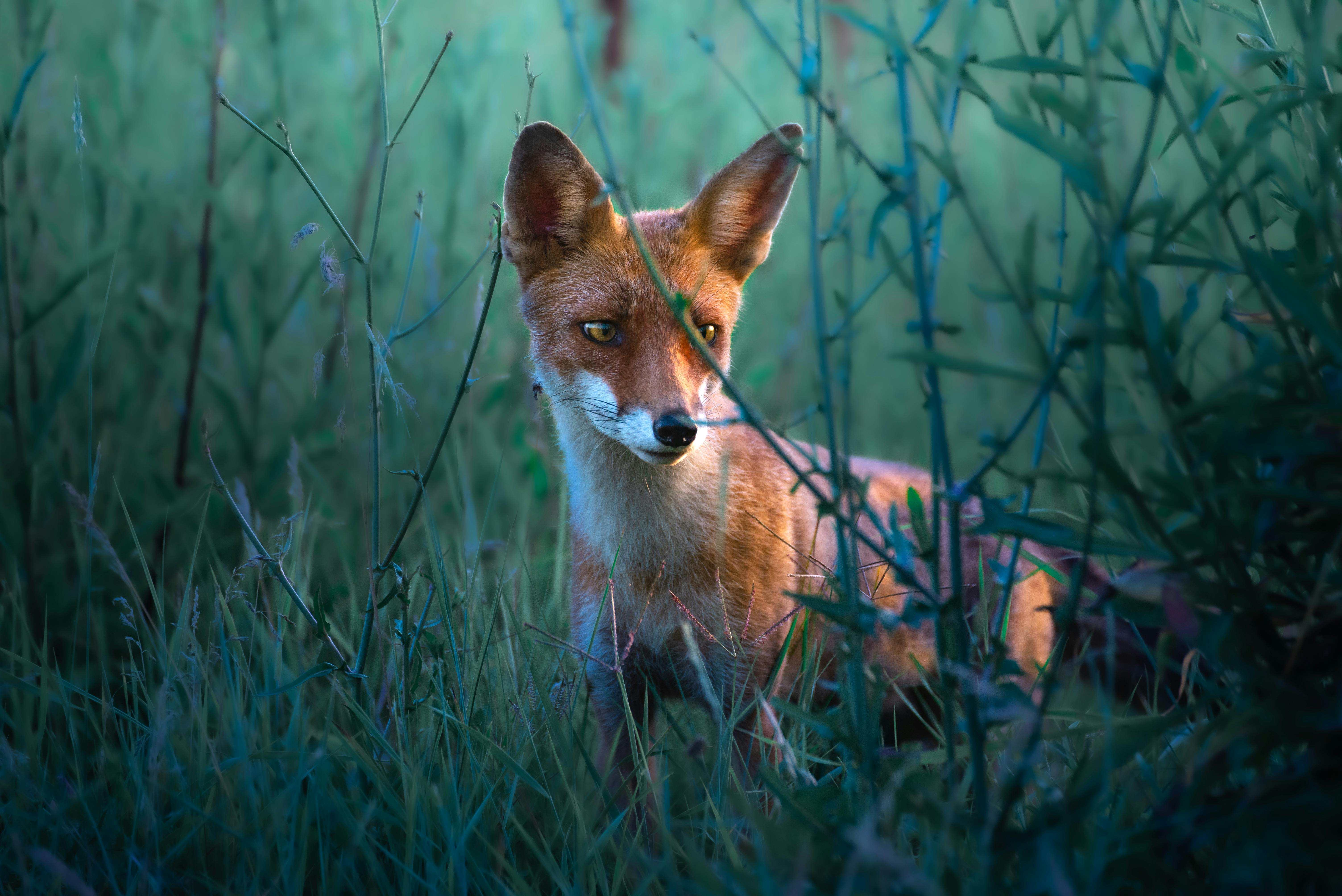 Exploring Uncharted Lands That Will Blow Your Mind