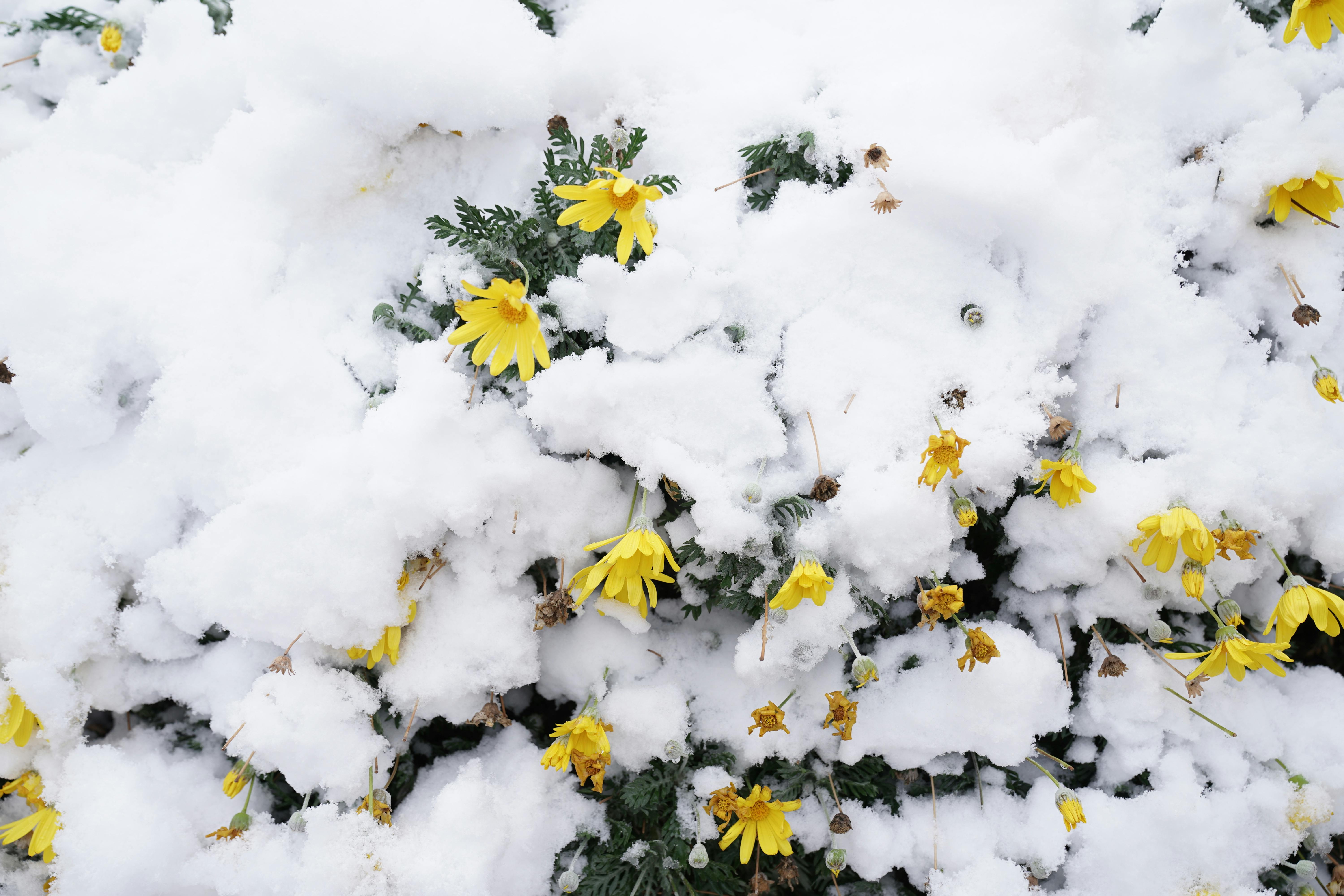 賴清德軍禮歡迎吐瓦魯總理 強調共抗地緣政治與氣候變遷挑戰