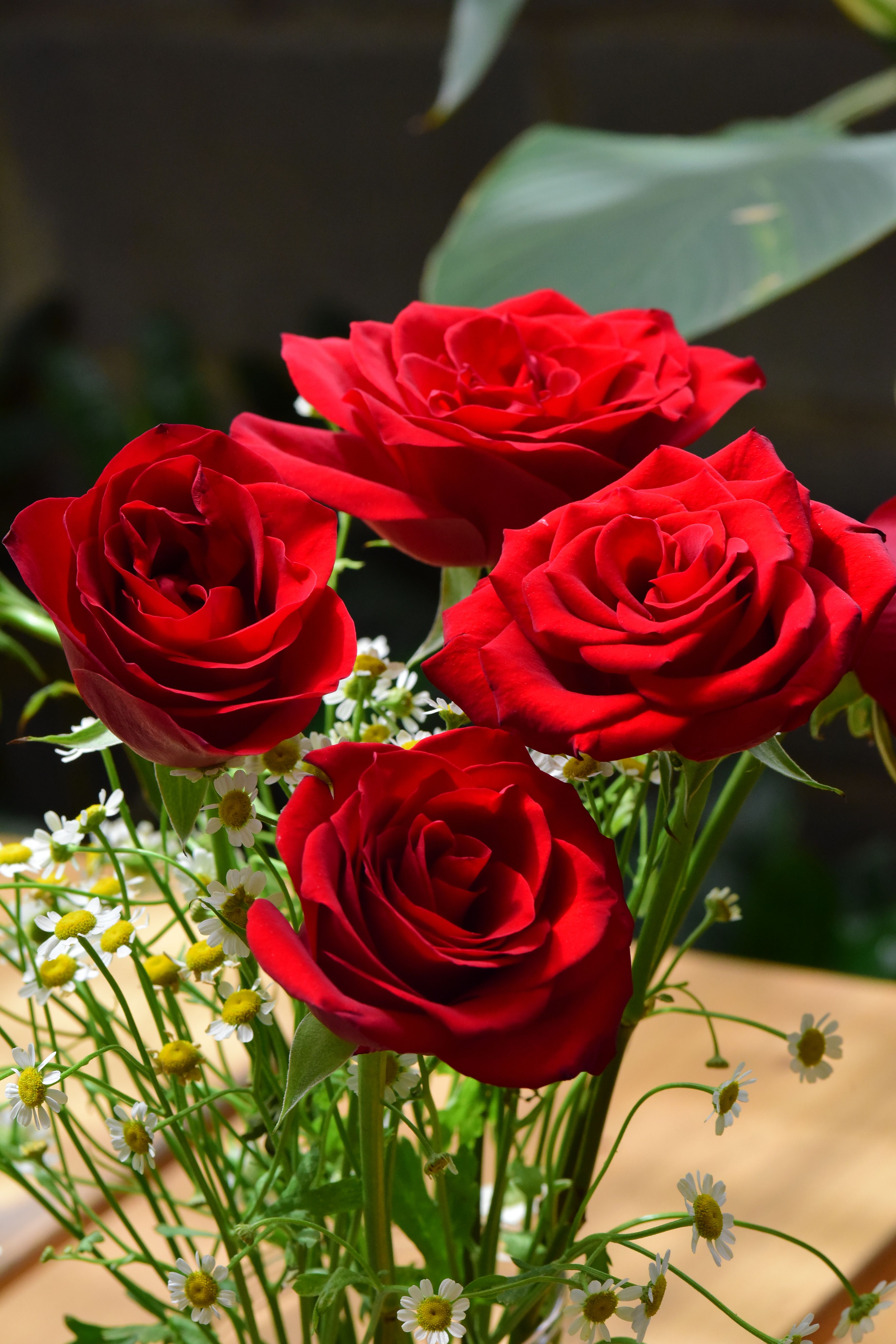 Roter Rosenstrauß Russland