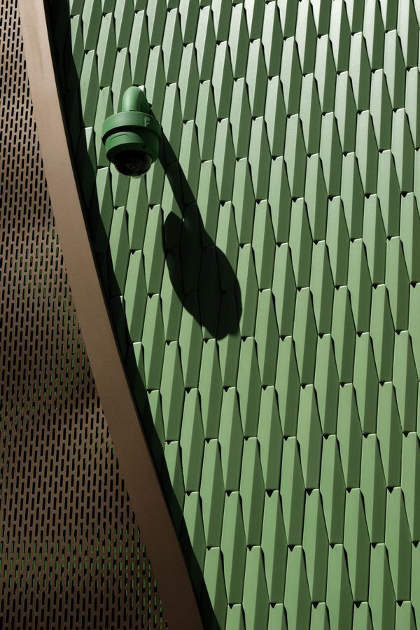 Textured green wall detail — H&CO on Pexels