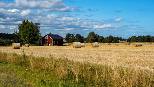 Free Idyllic summer view of Swedish countryside with hay bales and a red cottage. Stock Photo
