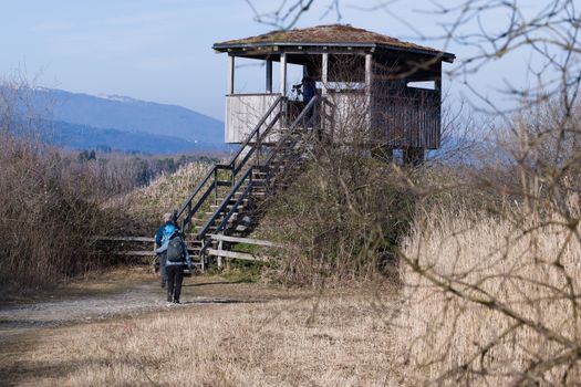 Two hikers approach a wooden lookout tower amidst dry reeds in the Swiss countryside.