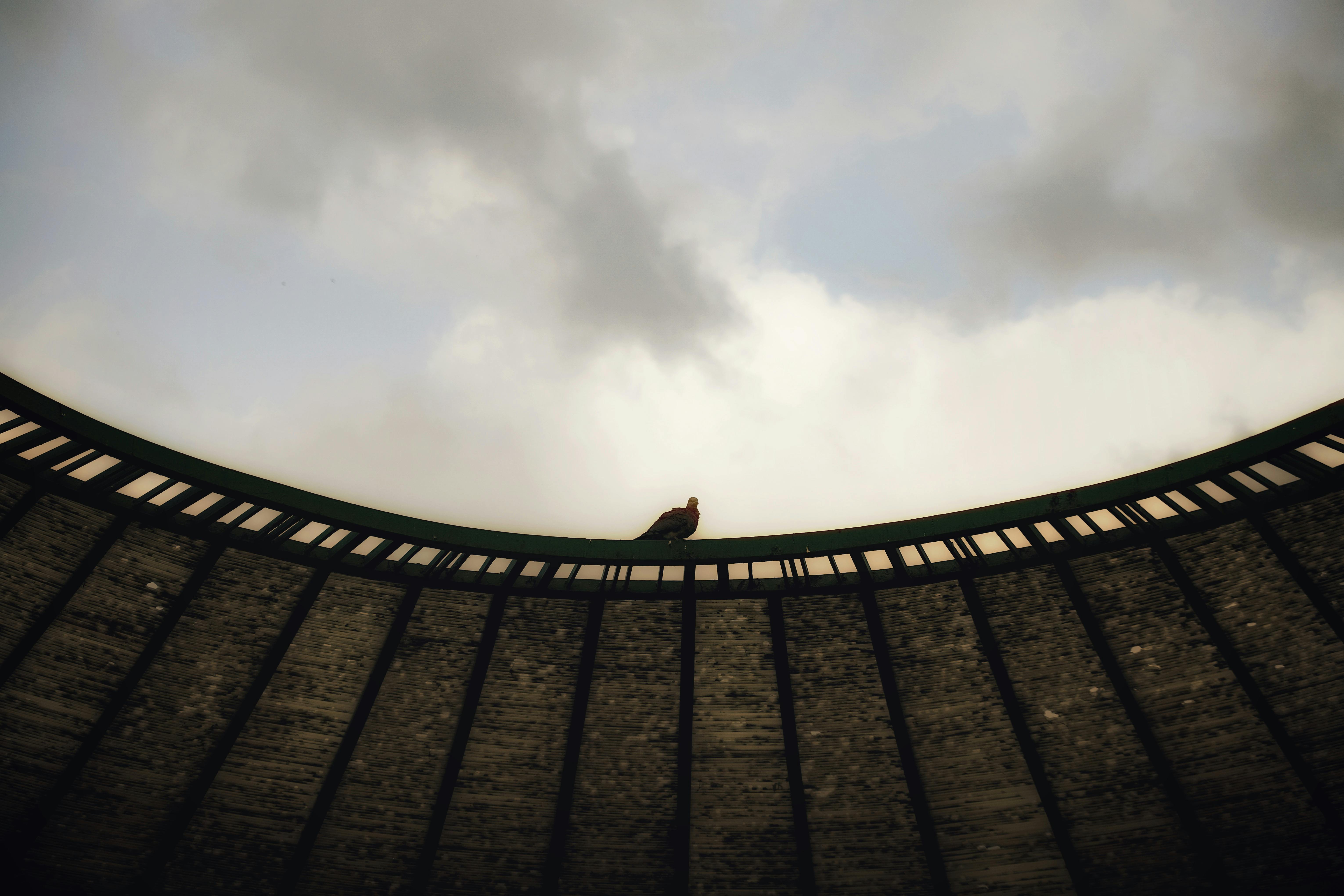 Free A single bird perches on the edge of a curved architectural structure under a cloudy sky. Stock Photo