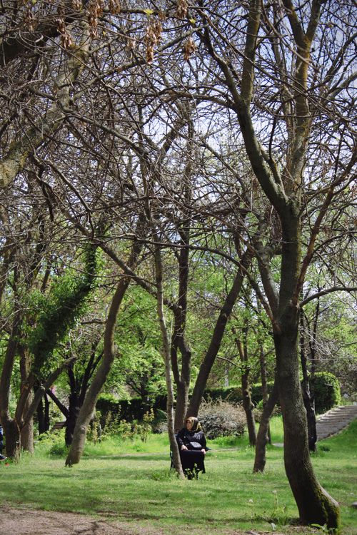 Free A person sits alone on a green park bench amidst spring trees. Stock Photo
