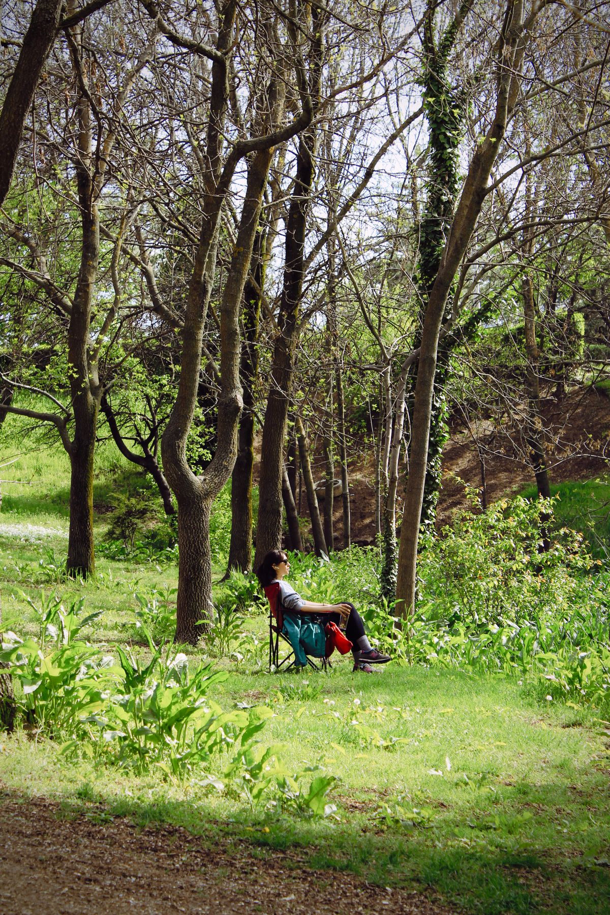 Person sitting quietly among trees in a calm outdoor setting