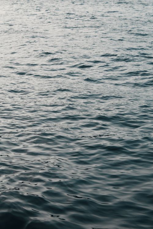 Free A serene view of gentle ocean waves under soft daylight. Stock Photo