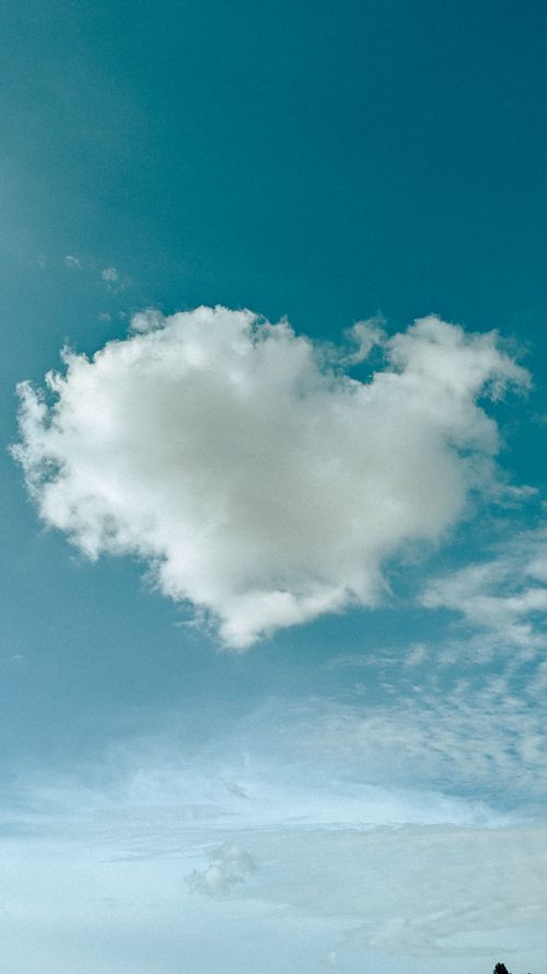 Free Love Stock Photo