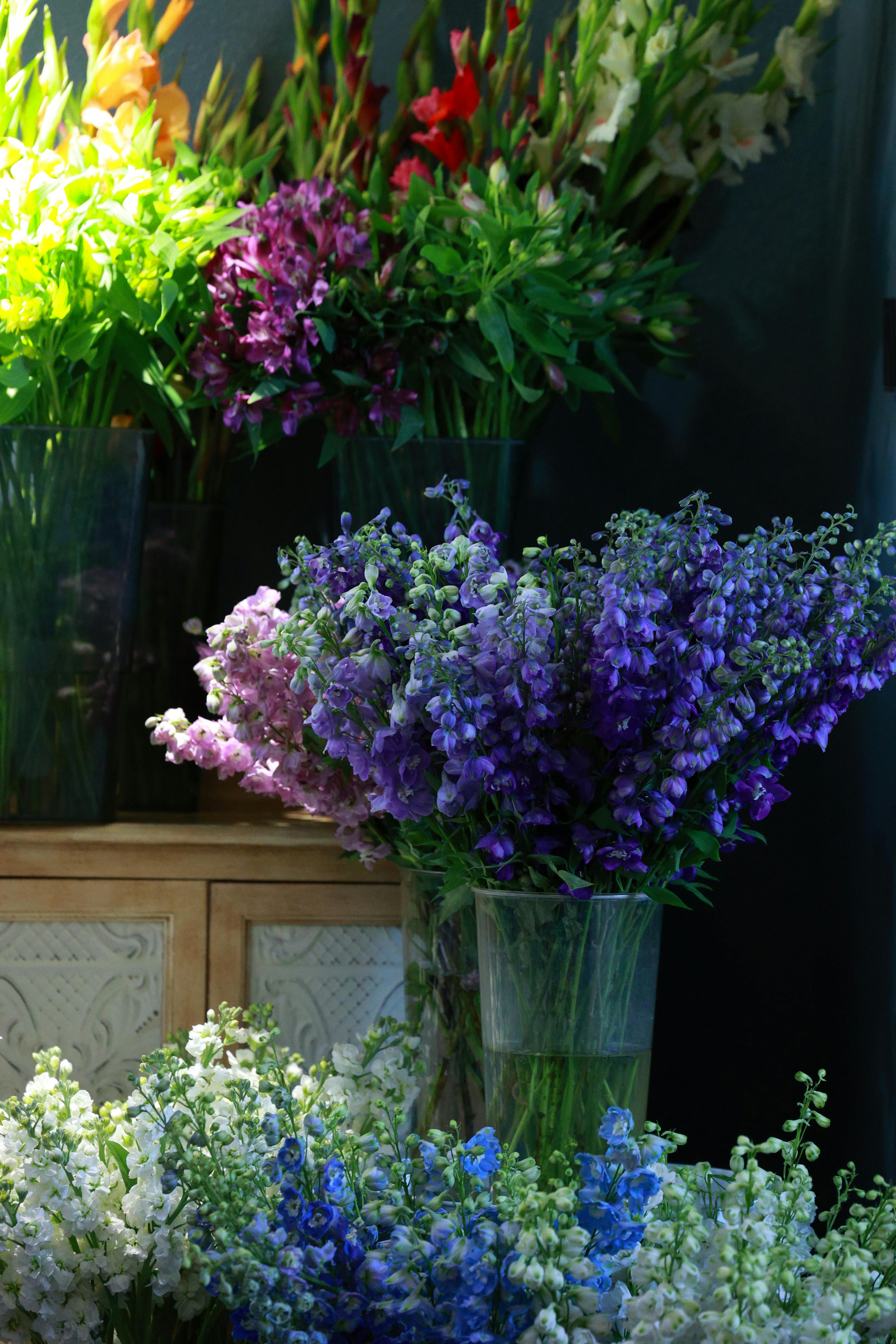 [ColoSach]-a-colorful-indoor-arrangement-of-various-flowers-in-vases,-beautifully-organized.