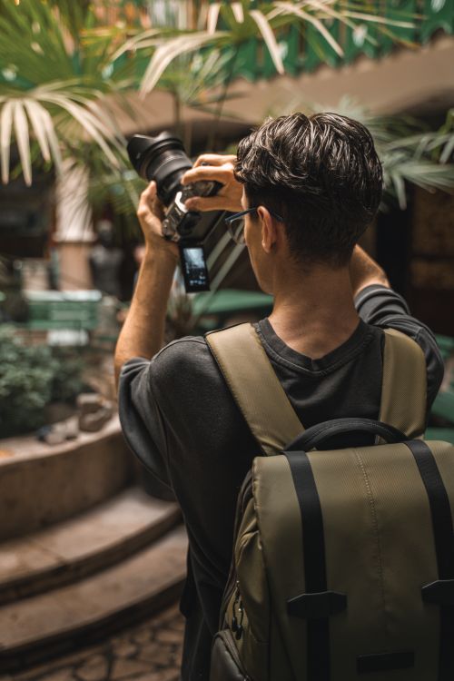 Free A photographer with equipment capturing indoor foliage in a Bursa courtyard. Perfect for travel and lifestyle themes. Stock Photo