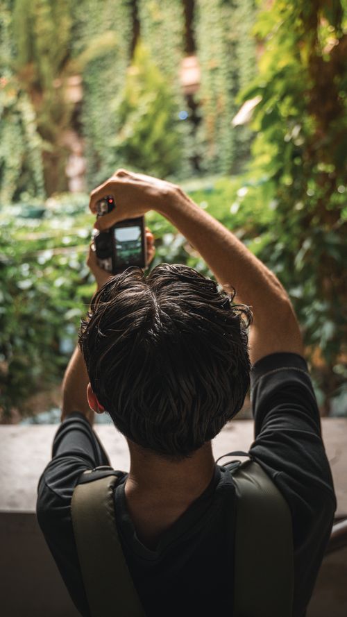 Free Man photographing lush greenery in Bursa, Türkiye, showcasing a vibrant outdoor setting. Stock Photo