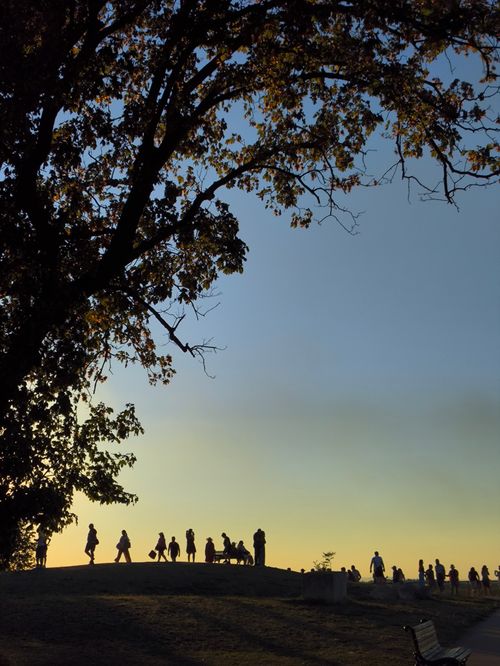 Free People silhouetted against a sunset sky under a tree in a tranquil park setting. Stock Photo