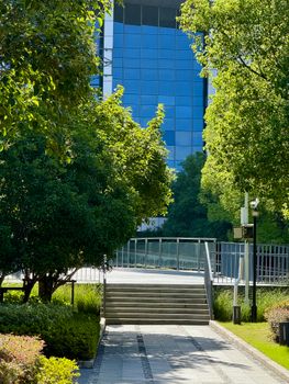 Lush green park pathway leading to a modern glass building on a sunny day.