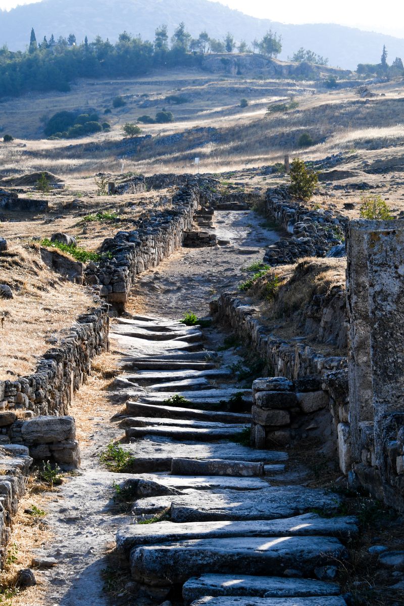Roman Pathways Ancient Roman Pathway with Wildflowers · Free Stock Photo