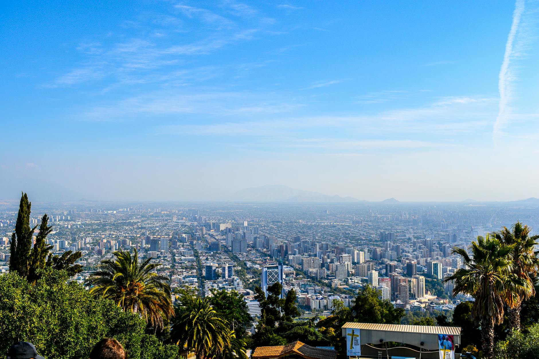 Staying Hydrated: The Science Behind Drinking Enough Water cover image