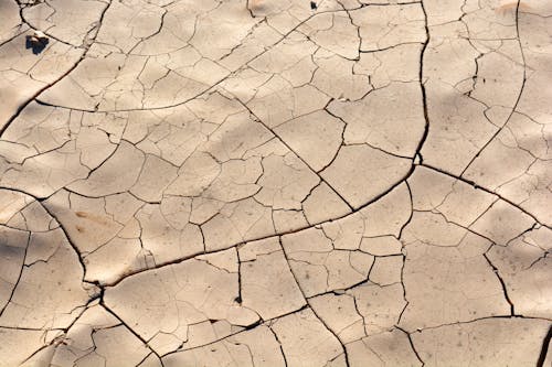 Dry Cracked Land