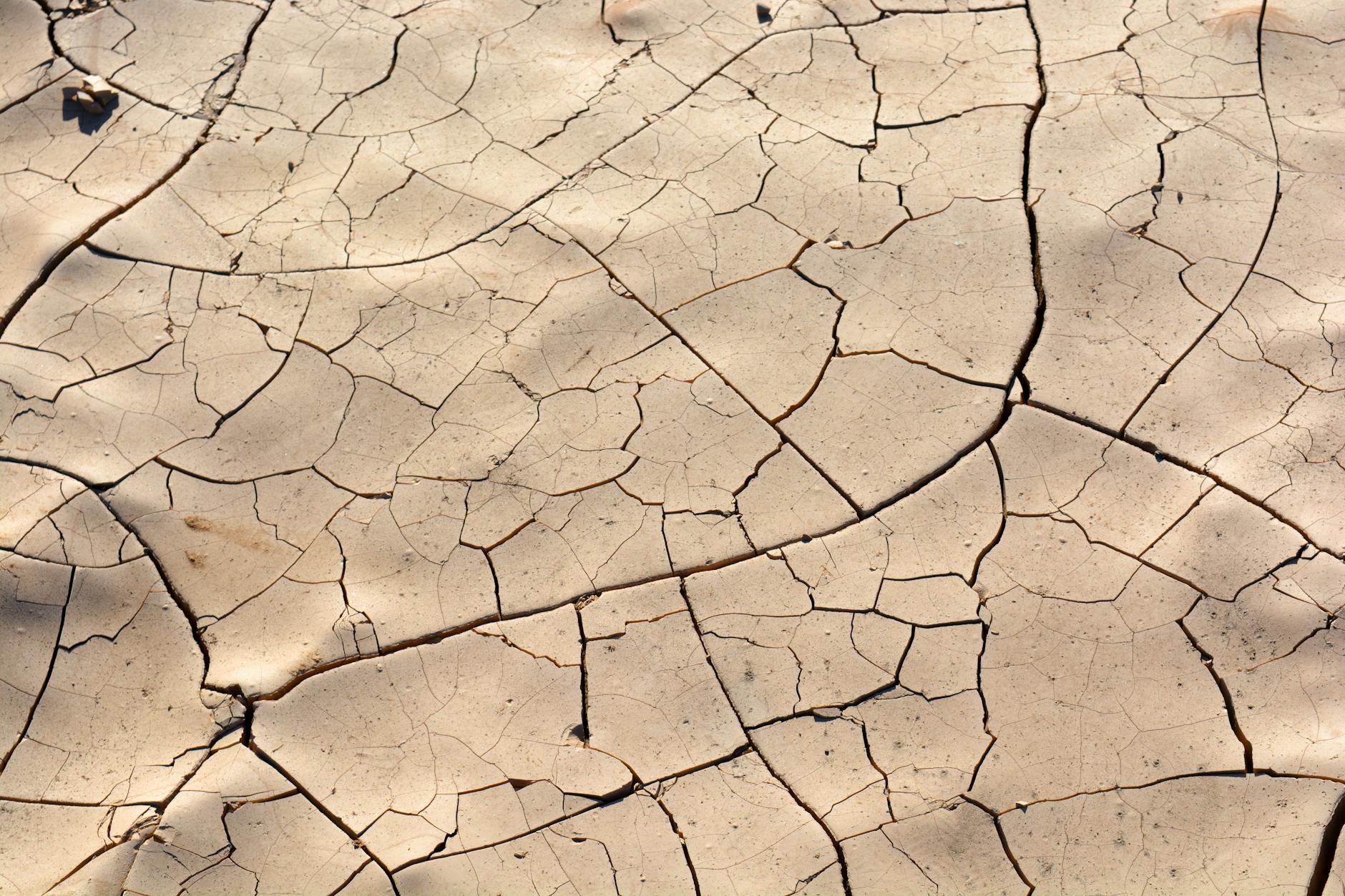 A close-up view of cracked and dry earth, highlighting drought and arid landscape.