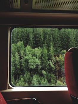 Green forest landscape seen through a train window, conveying travel and nature connection.