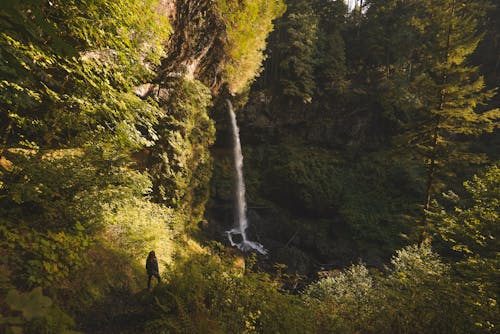 Person Standing Near Waterfall